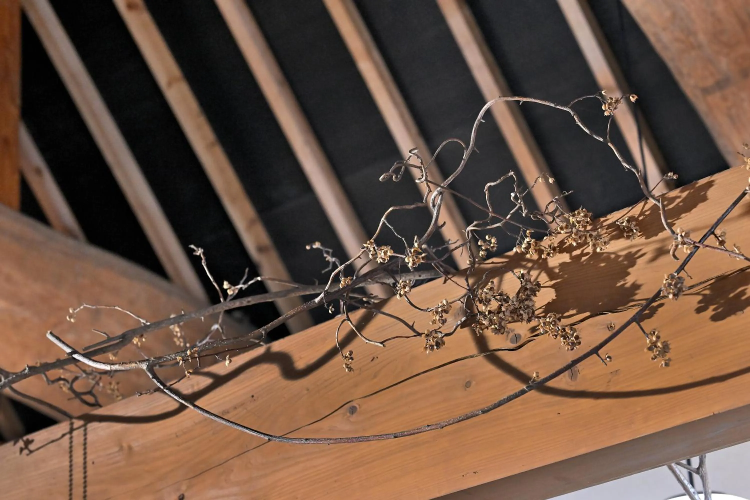 Other in Shikinosato Hanamura