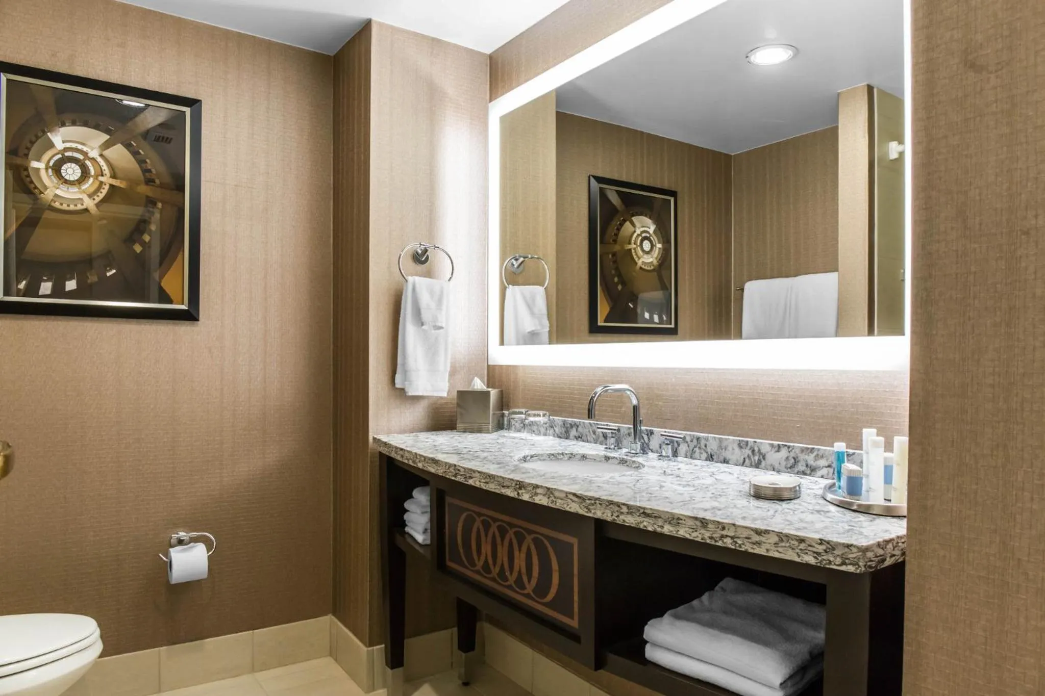 Bathroom in Omni Providence