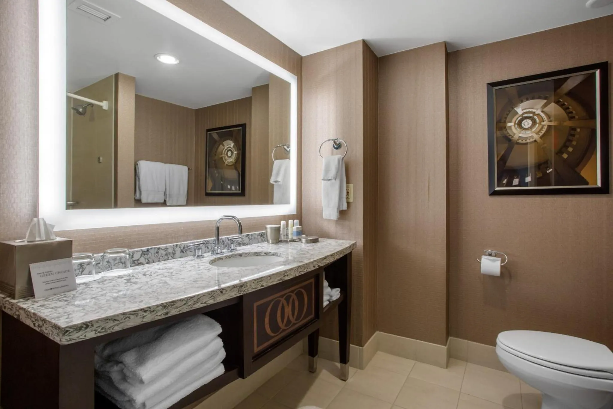 Bathroom in Omni Providence