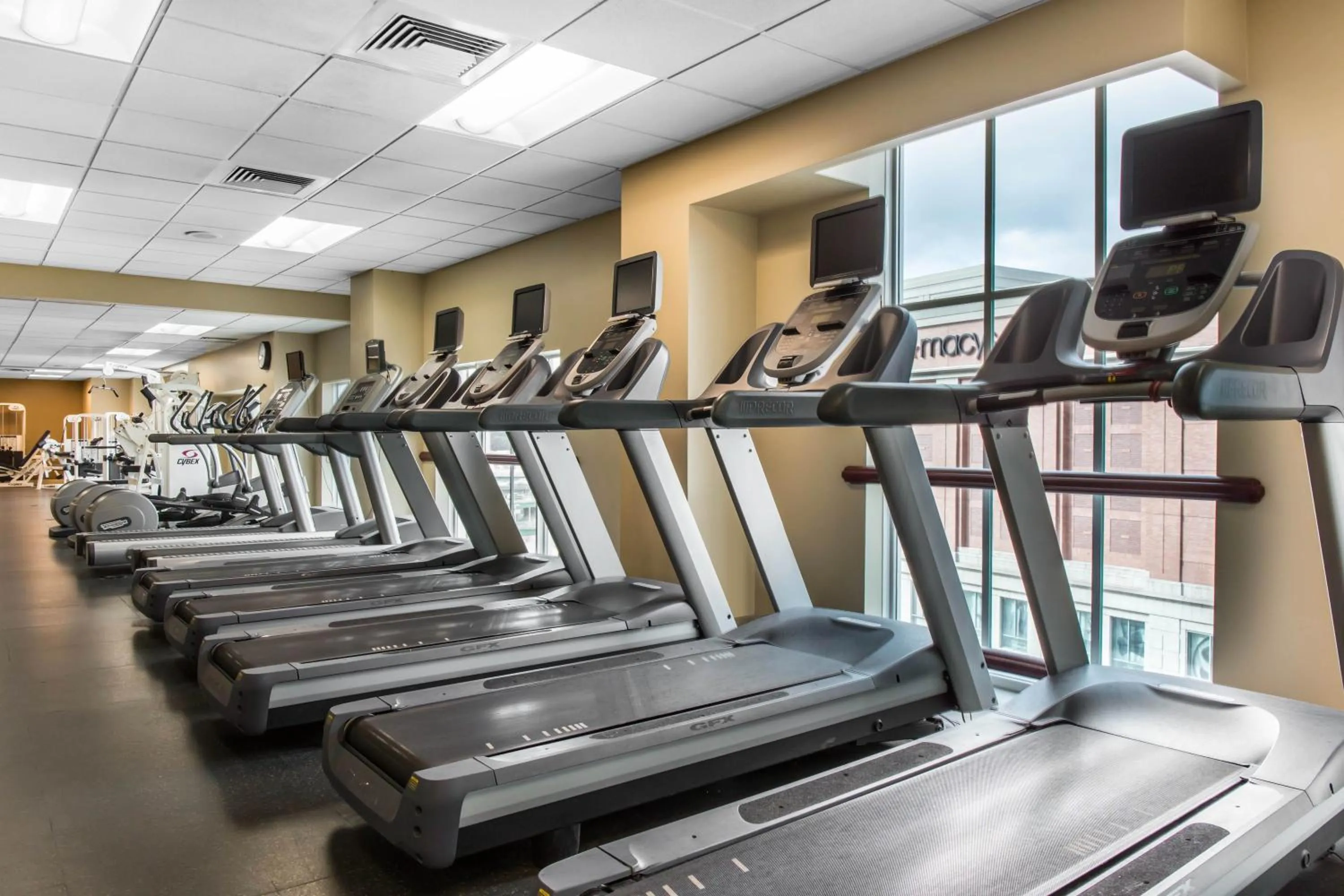 Fitness centre/facilities in Omni Providence