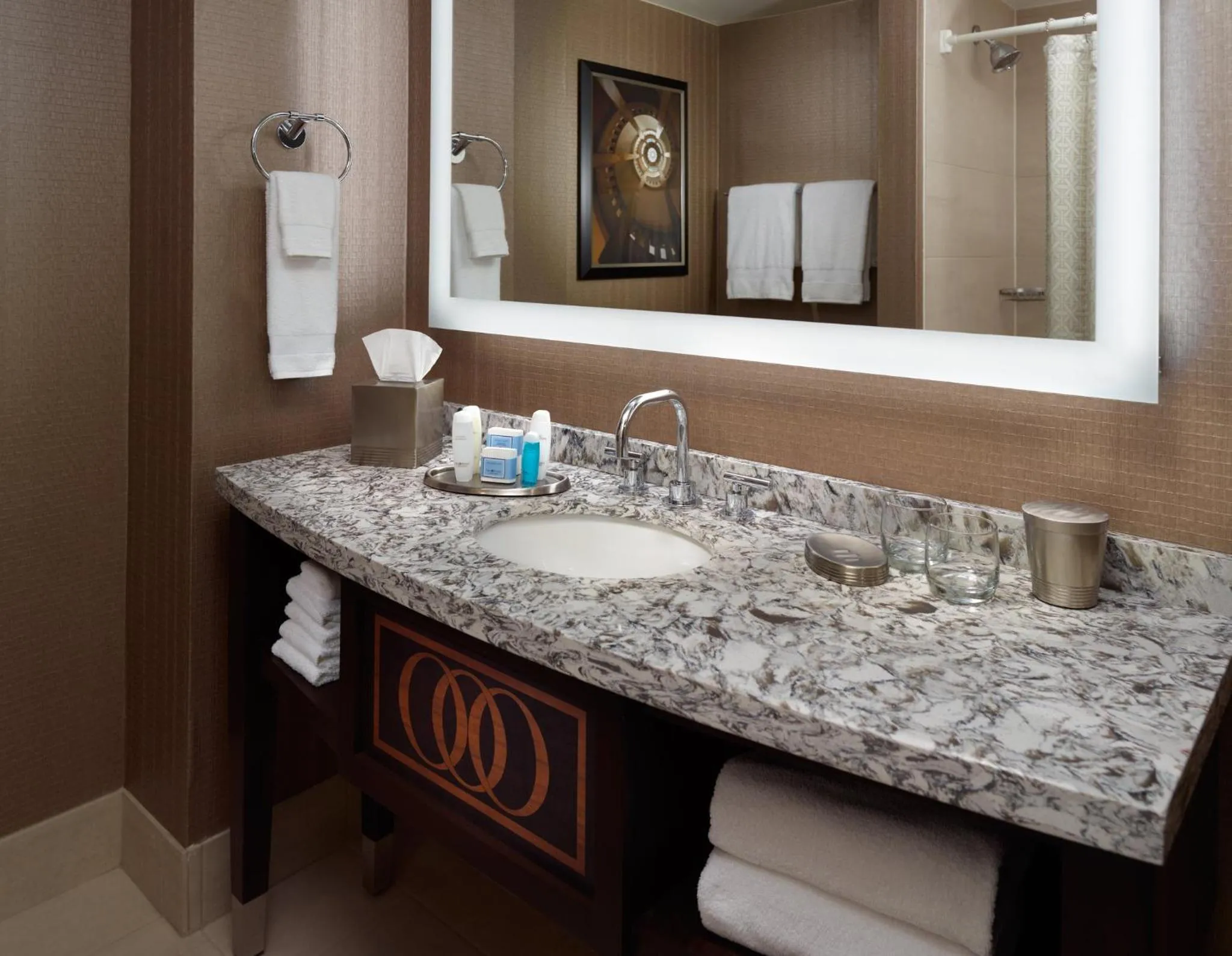 Bathroom in Omni Providence