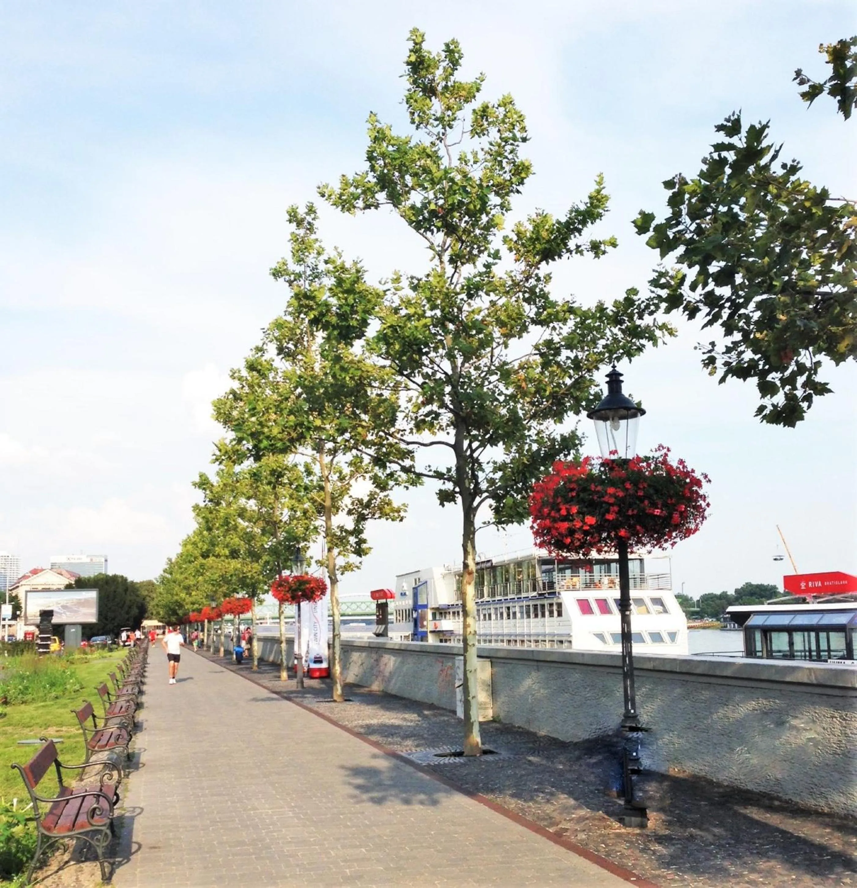 Natural landscape in Botel Gracia
