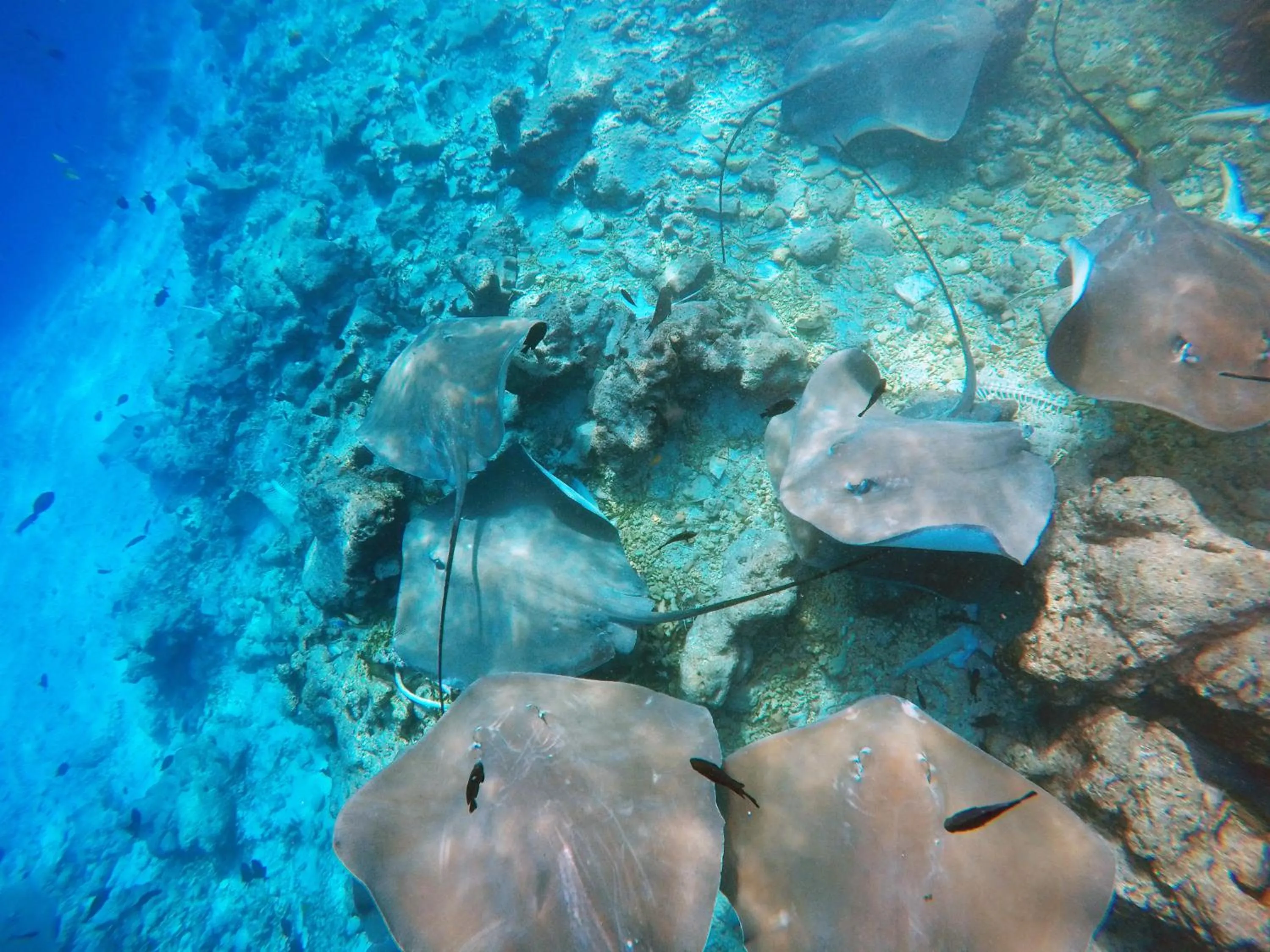 Turquoise Residence by UI