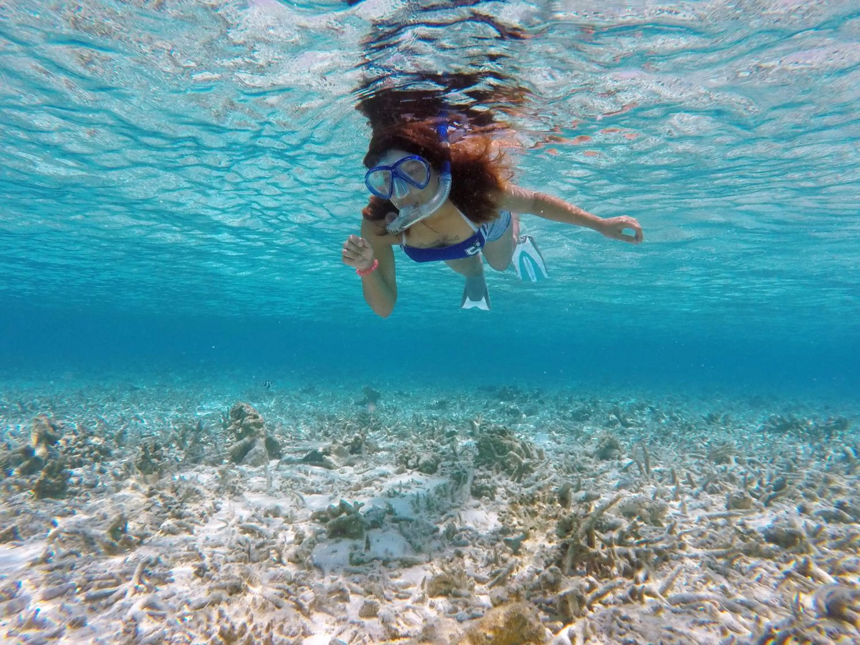 Turquoise Residence by UI