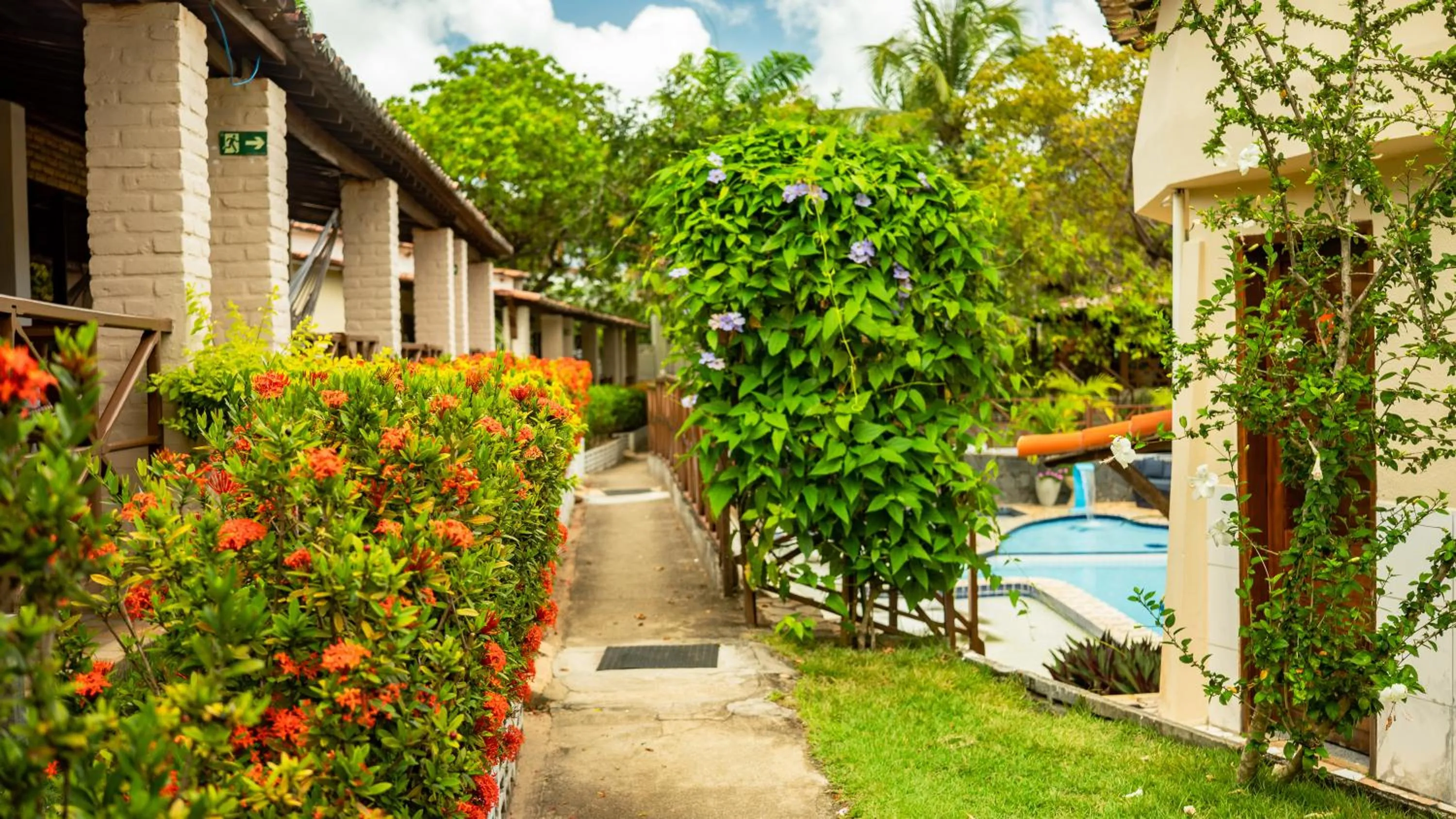 Garden in Pousada Bicho Preguiça