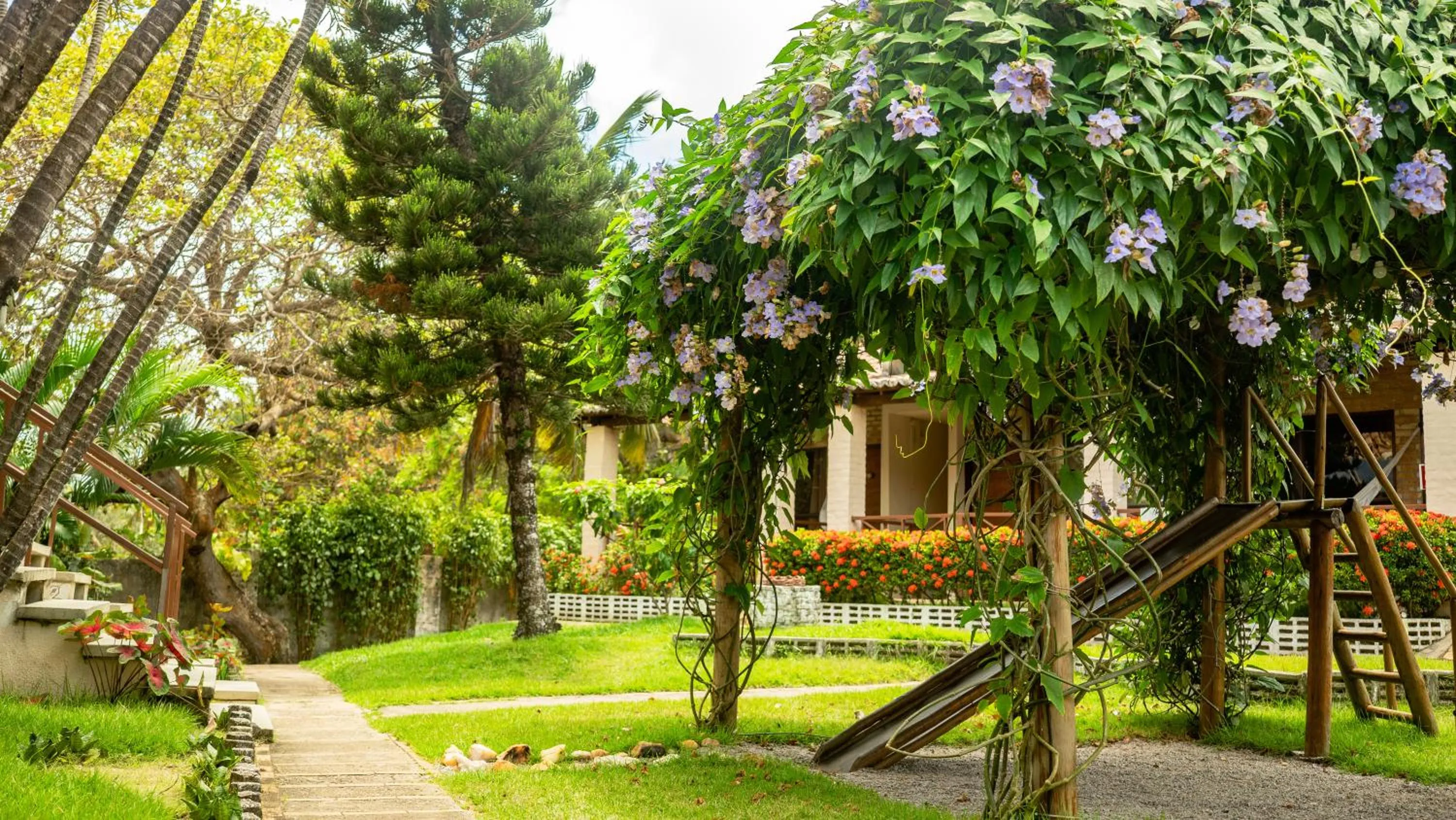 Garden in Pousada Bicho Preguiça