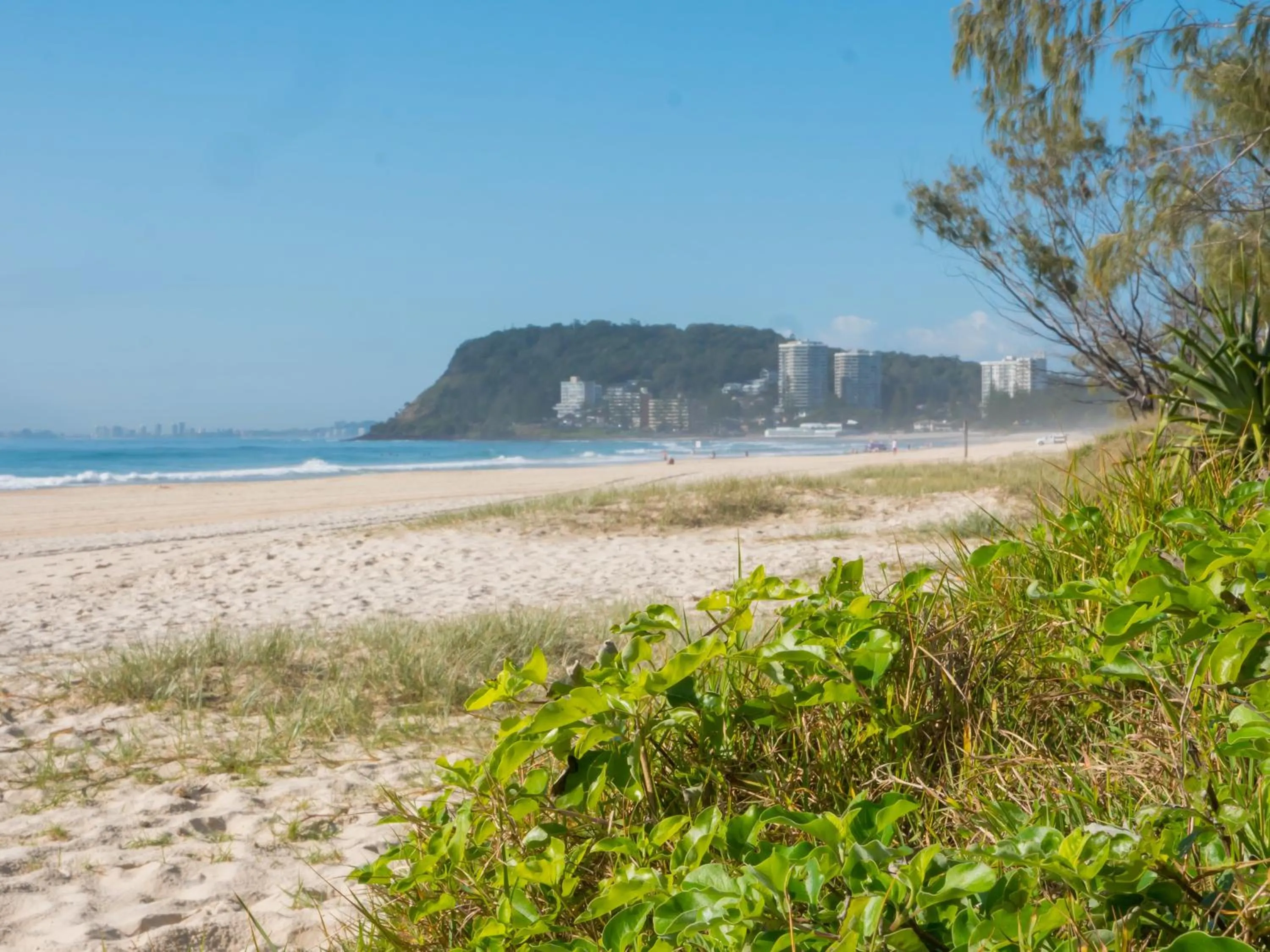 Neighbourhood in Burleigh Surf Apartments