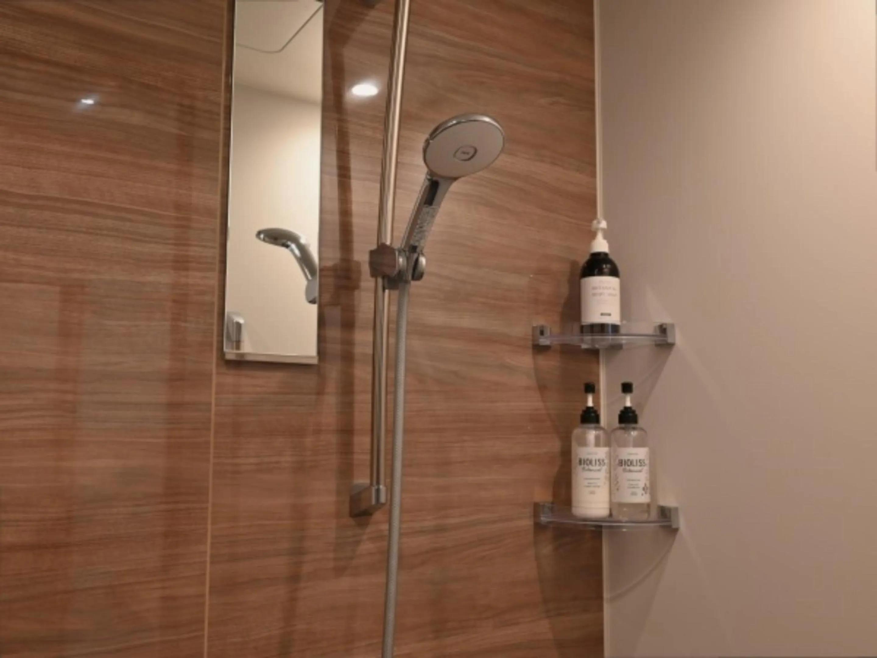 Shower in Wakariki Ryokan