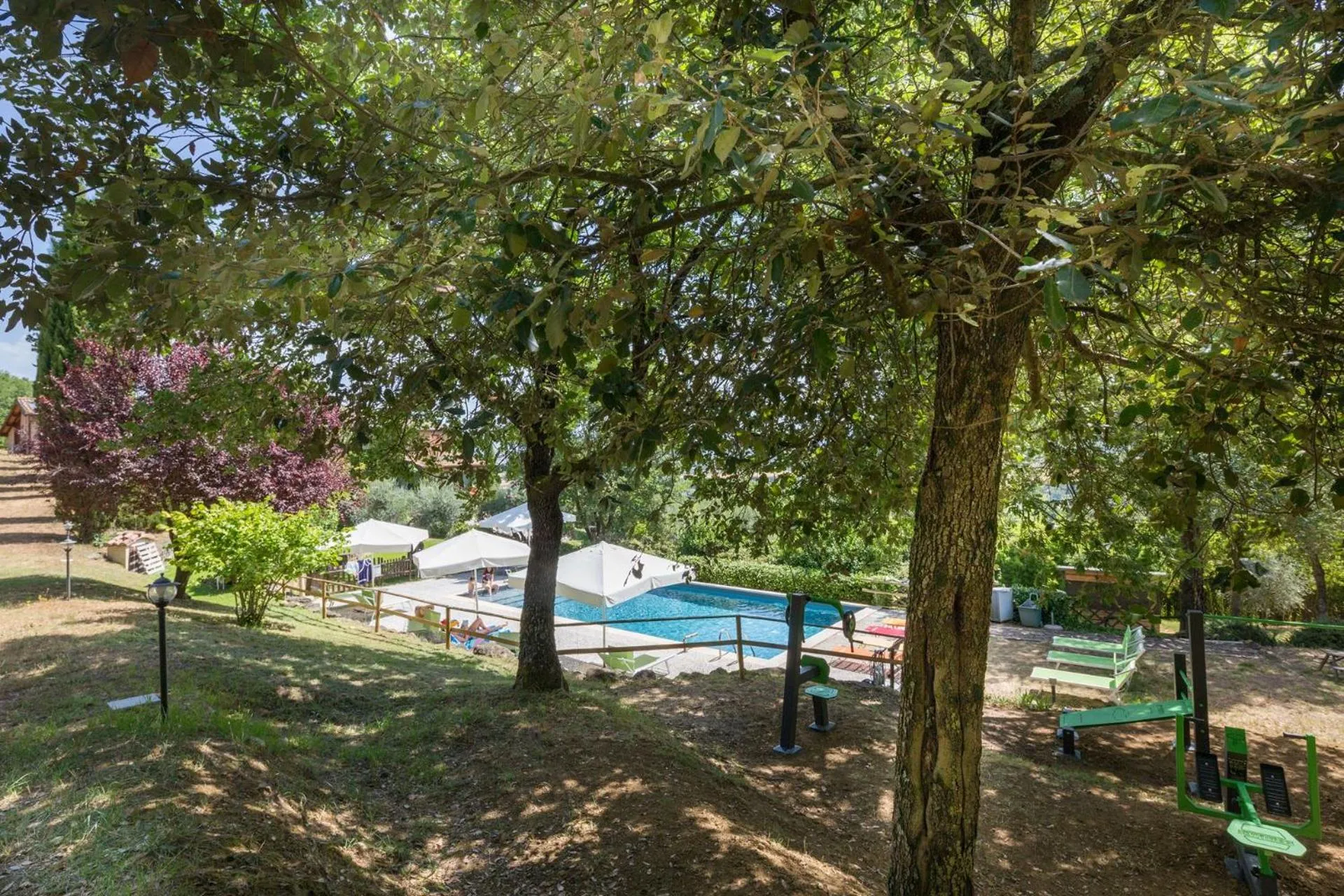 Swimming pool in Le Terre Di Isa