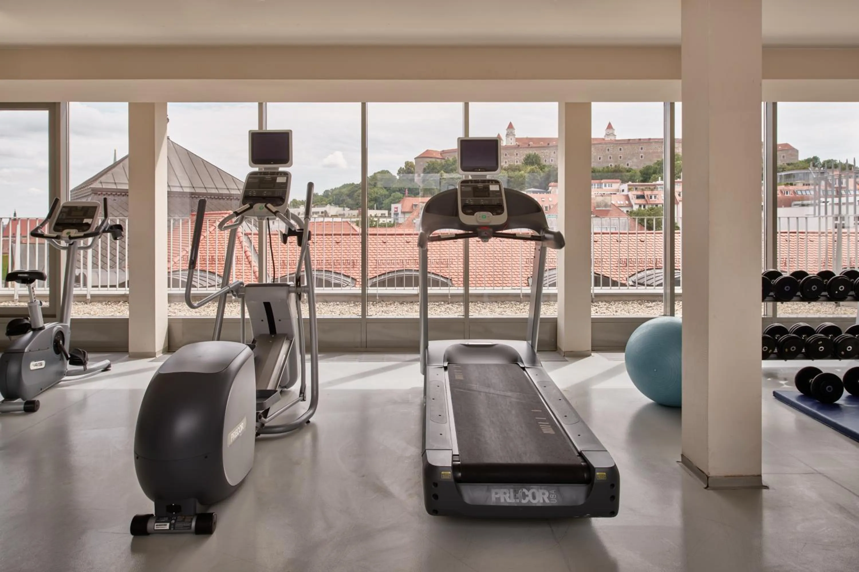 Fitness centre/facilities in Falkensteiner Hotel Bratislava