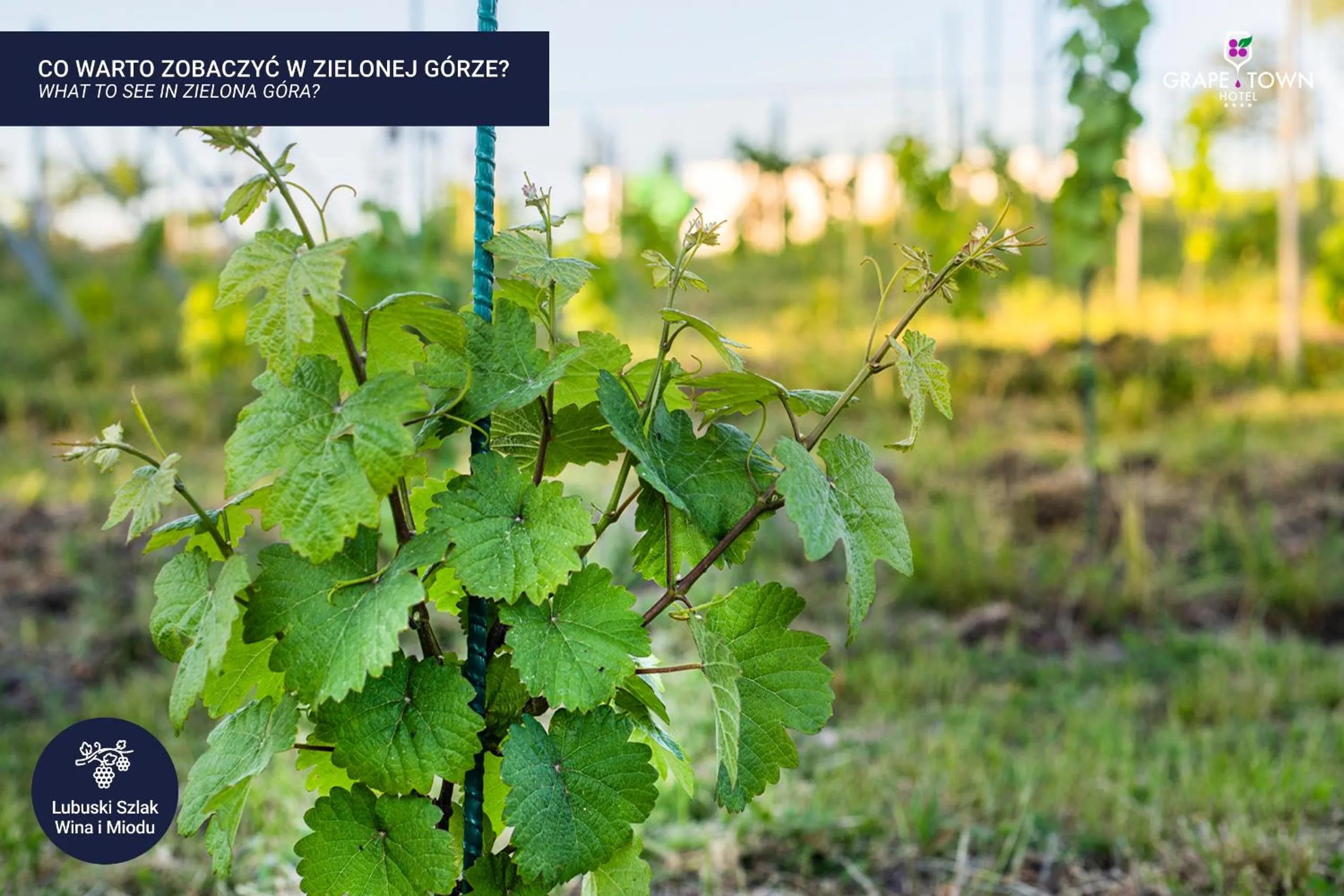 Nearby landmark in Grape Town Hotel - Park79