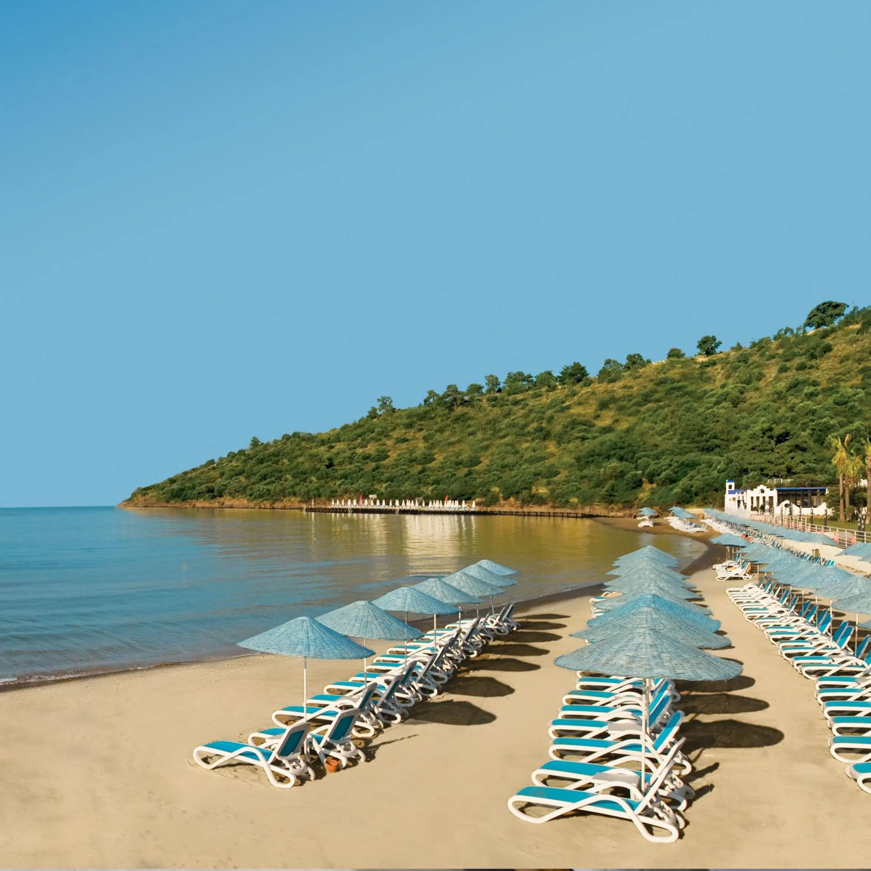 Beach in Paloma Pasha