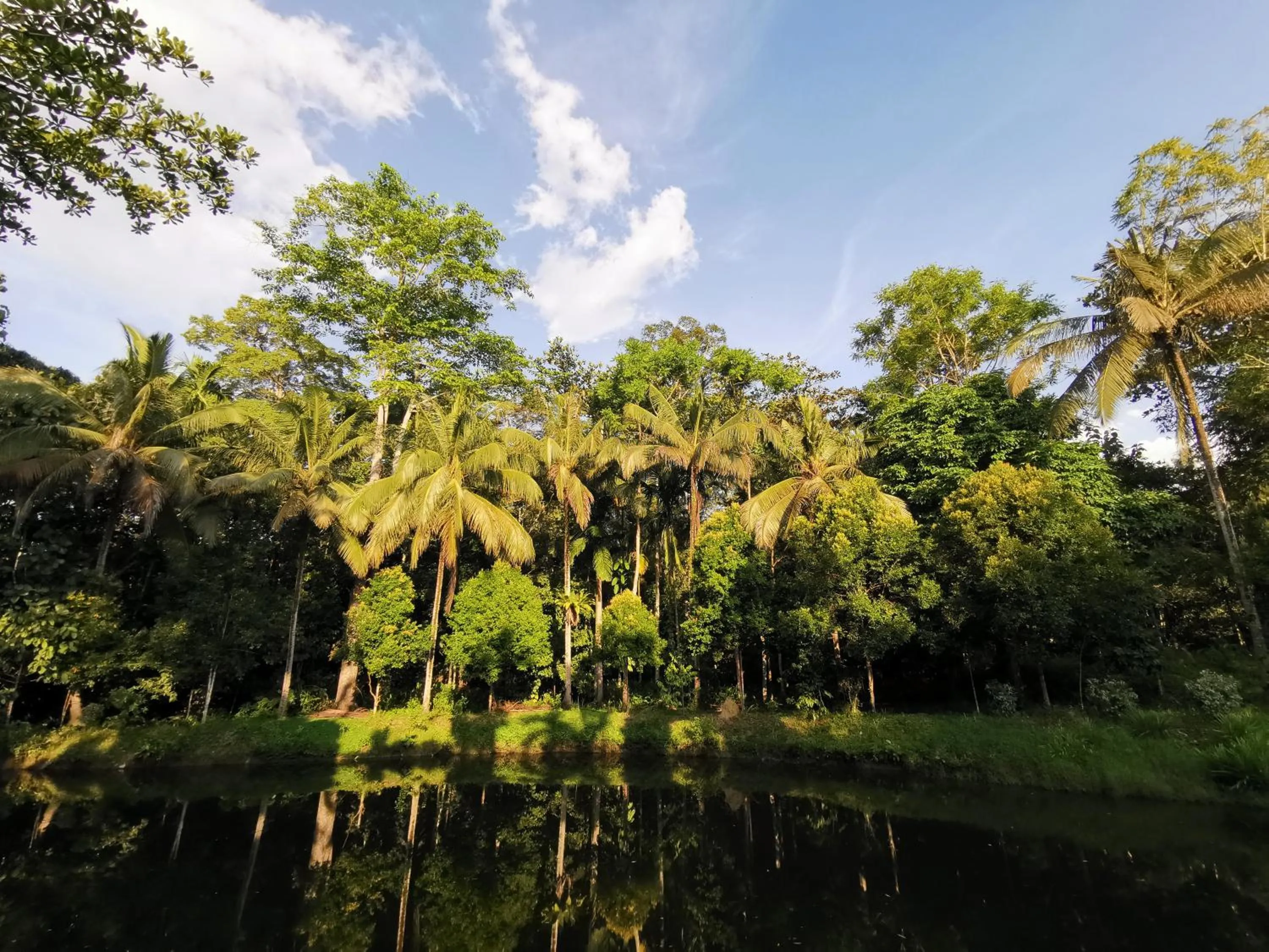 Sepilok Jungle Resort