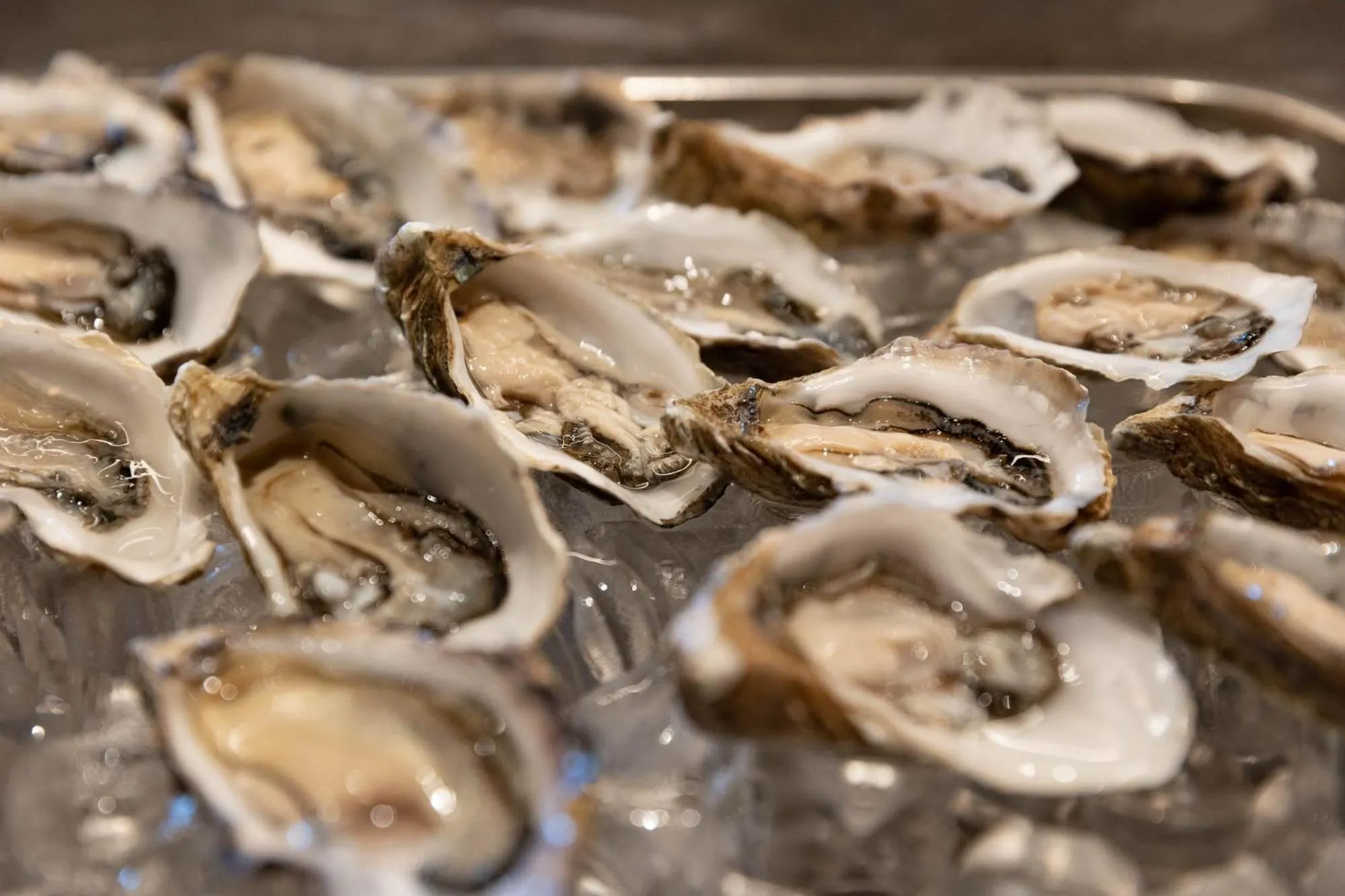 Food in Hotel Burggräflerhof