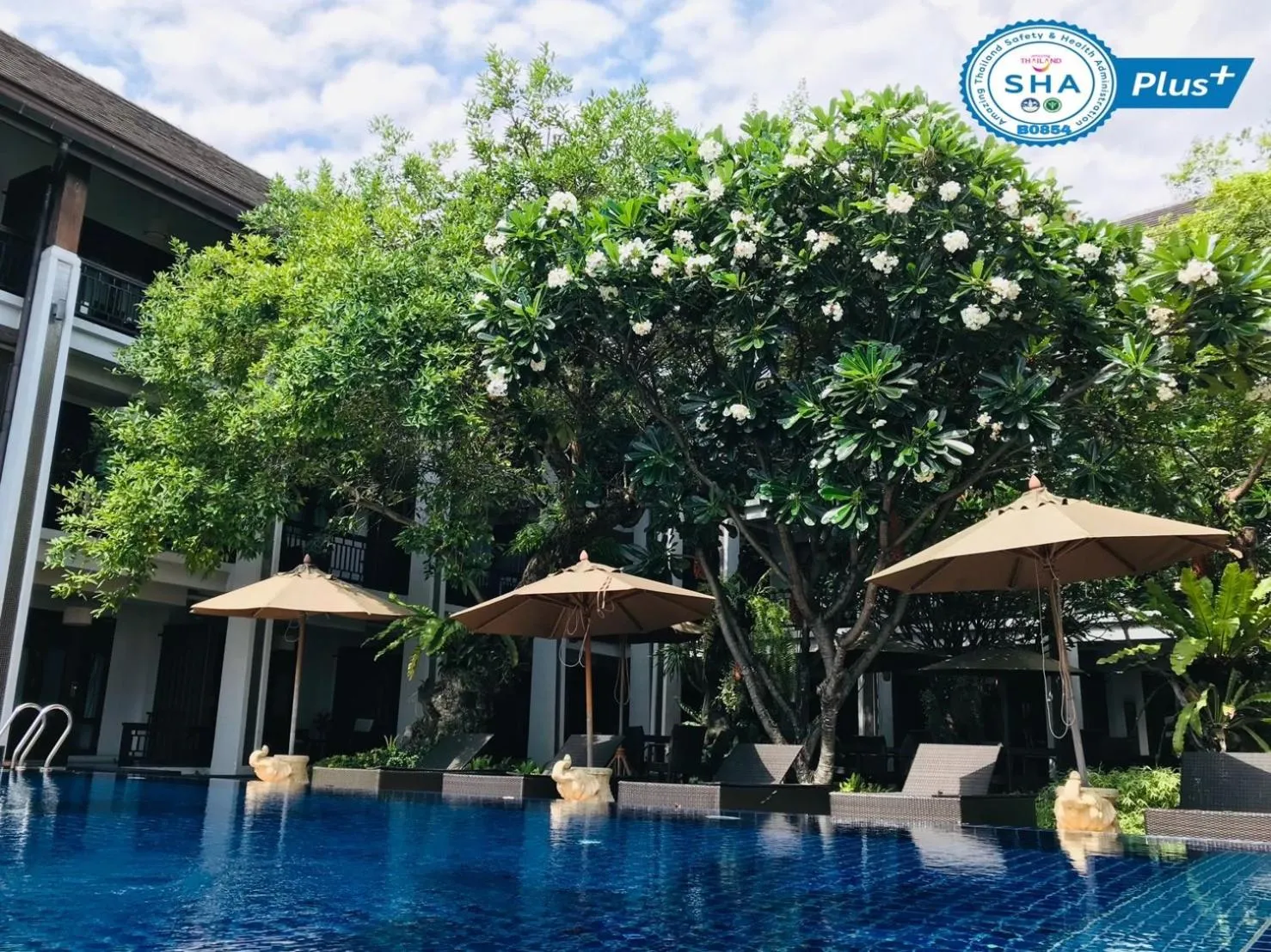 Swimming pool in De Lanna Hotel