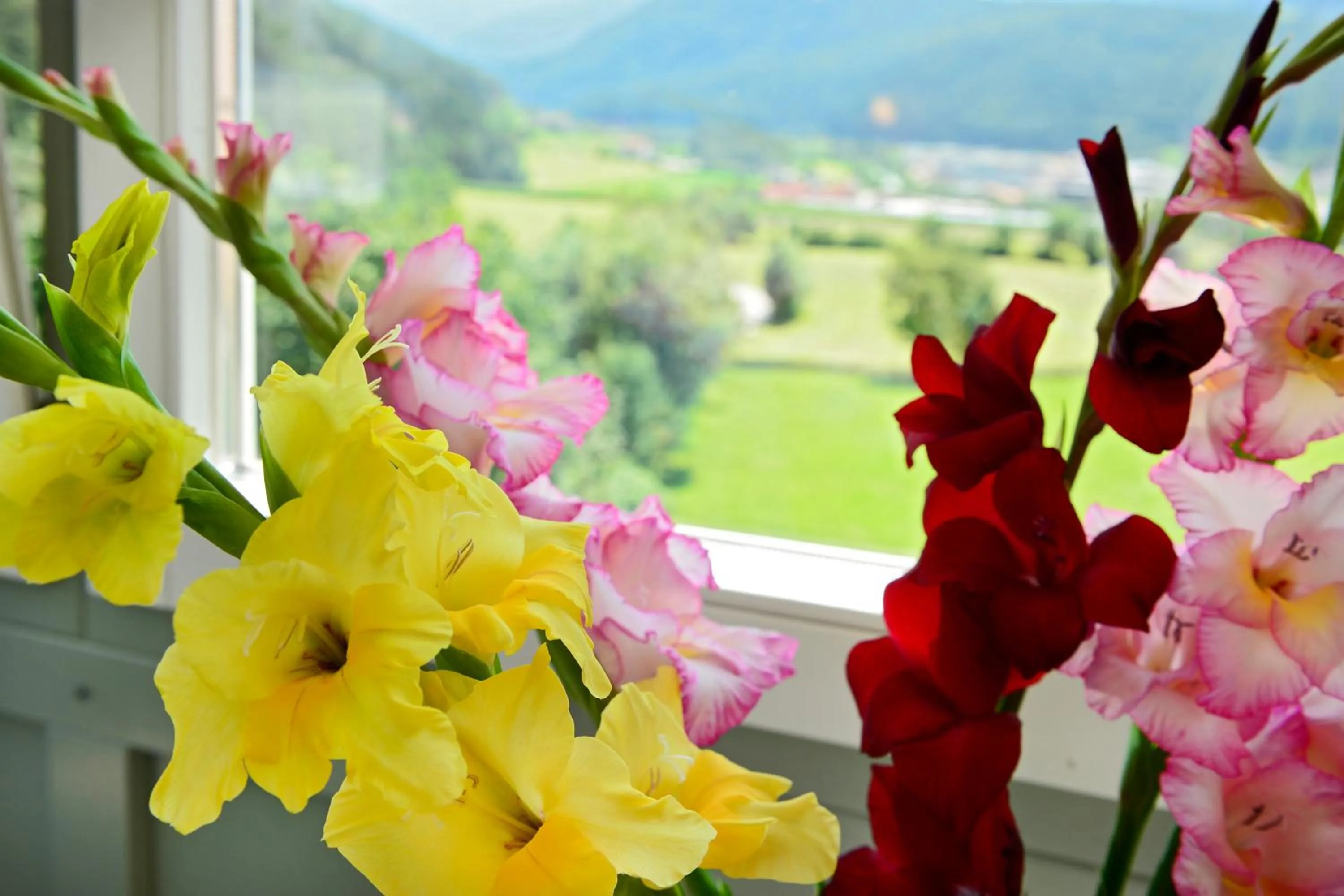 View (from property/room) in Hotel Gassenwirt