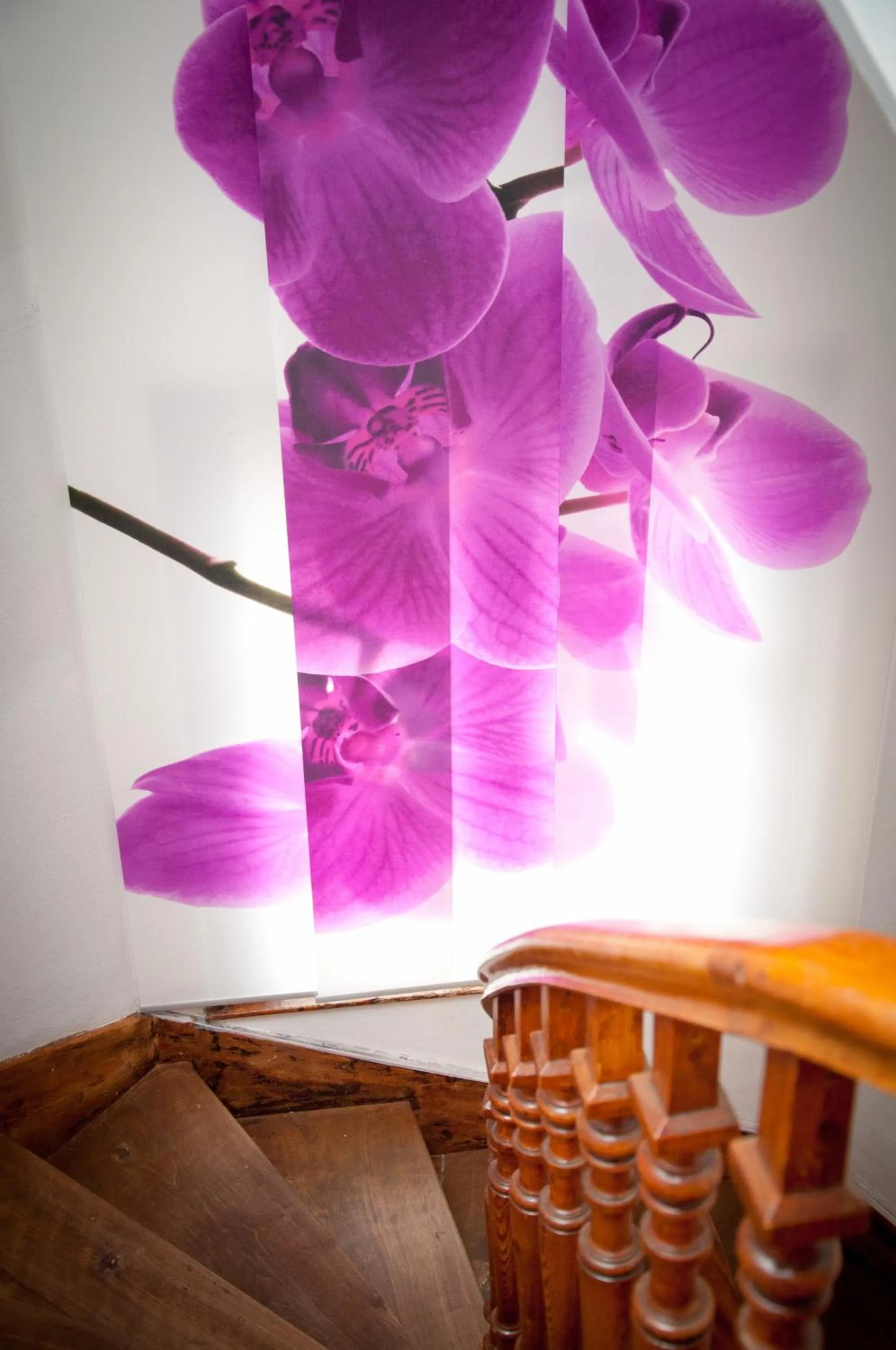 Decorative detail in Castel De Siam