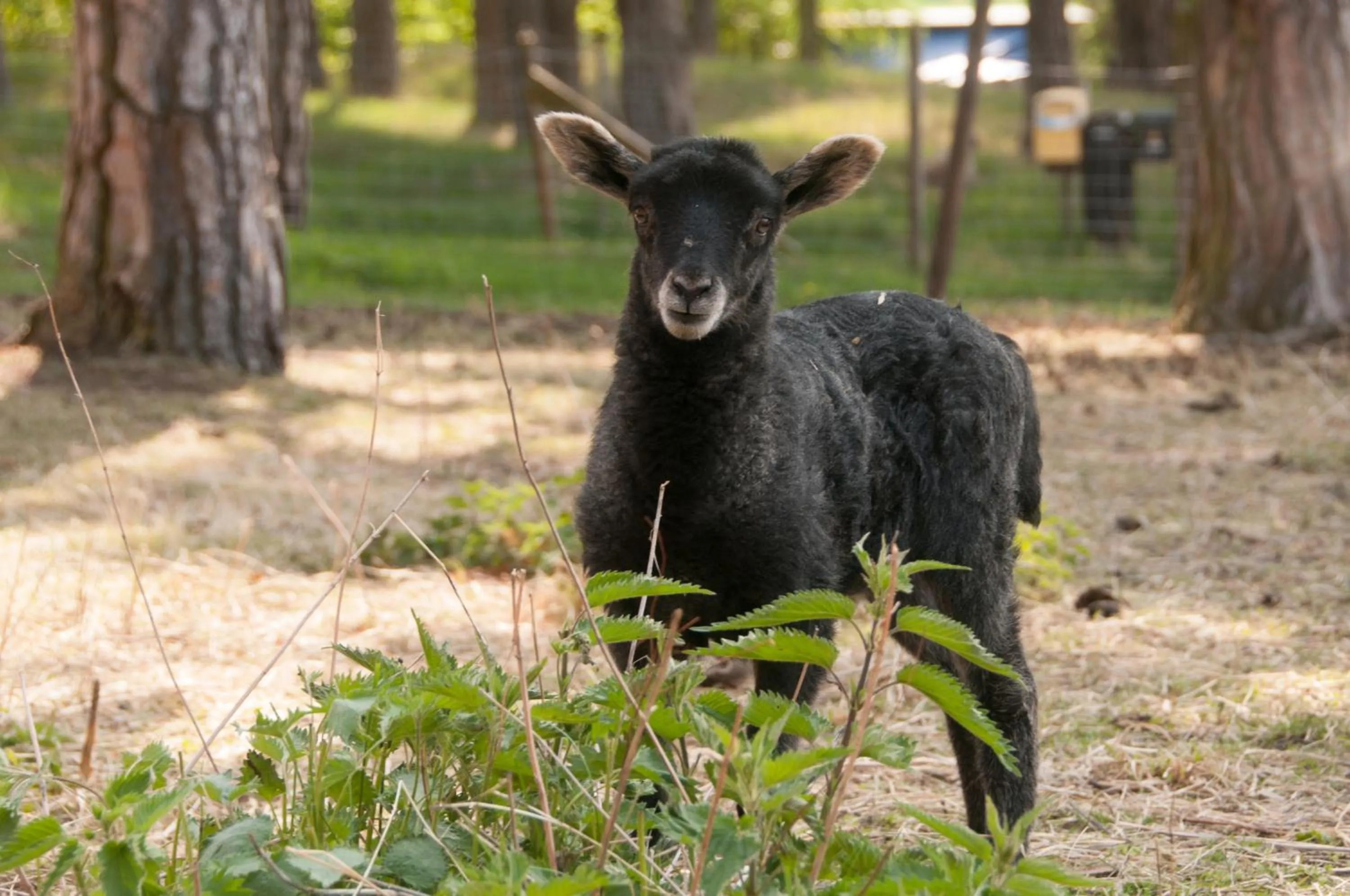 Off site in Ekeby i Bro