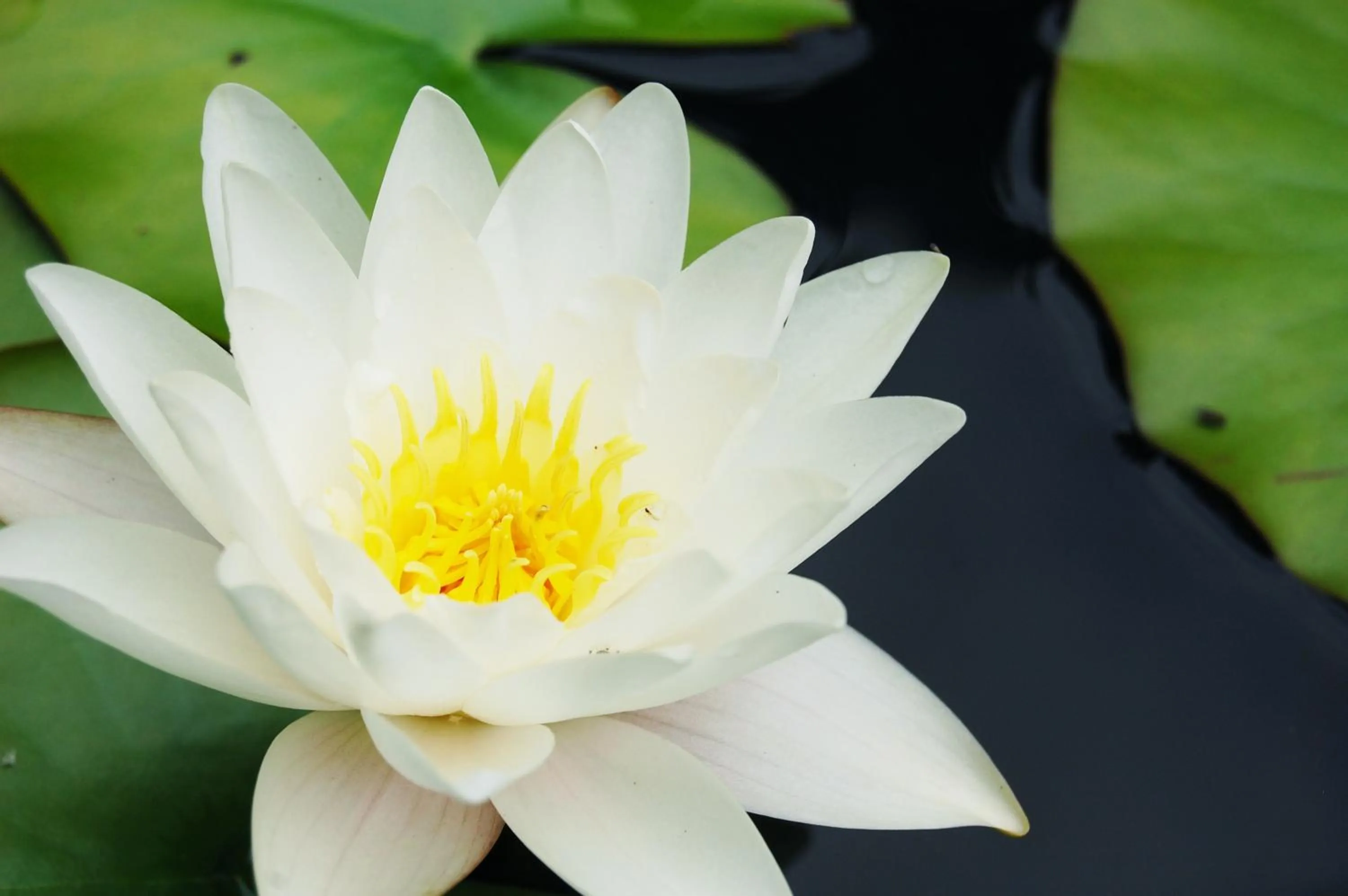 Neighbourhood in Ensana Thermia Palace