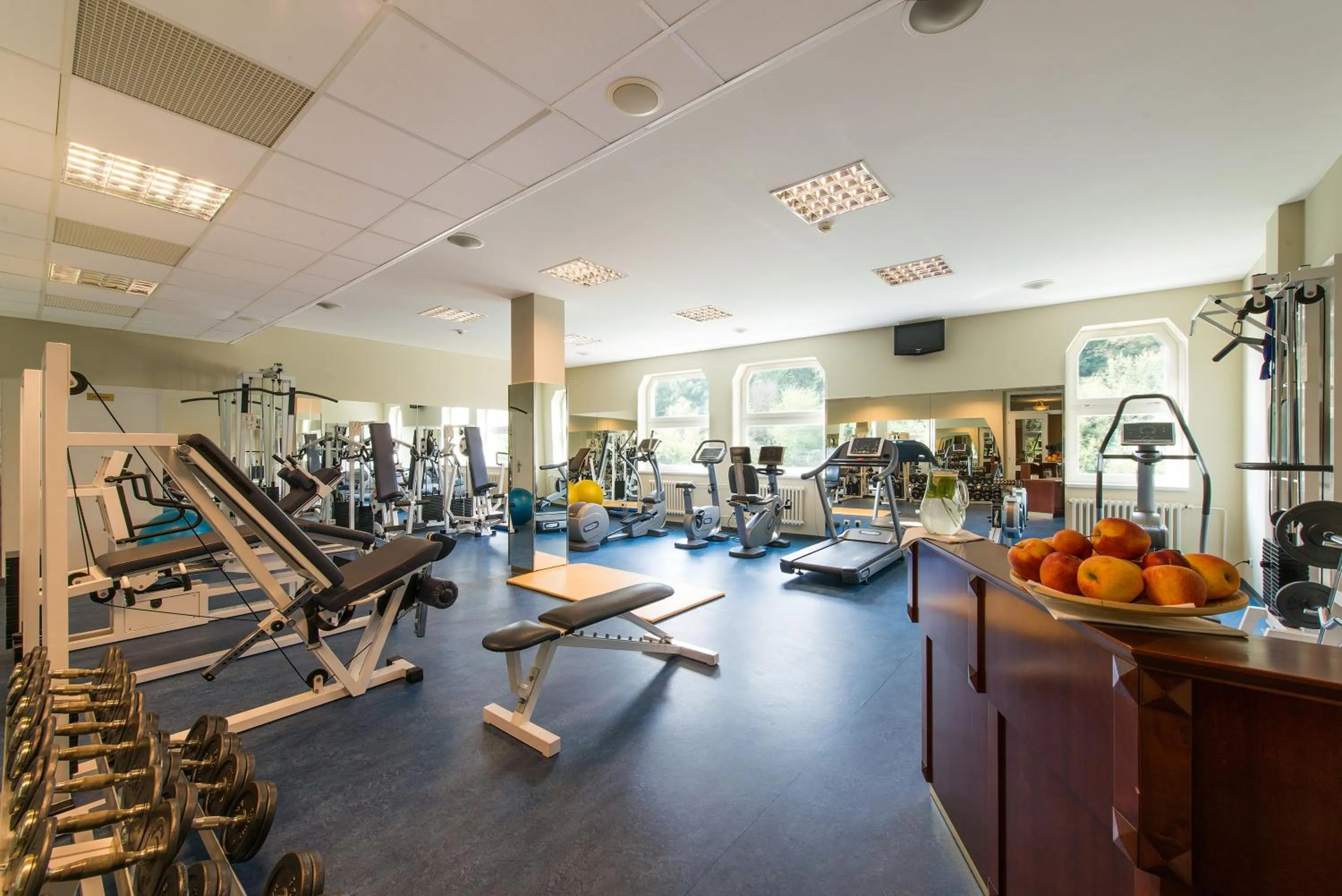 Fitness centre/facilities in Ensana Thermia Palace