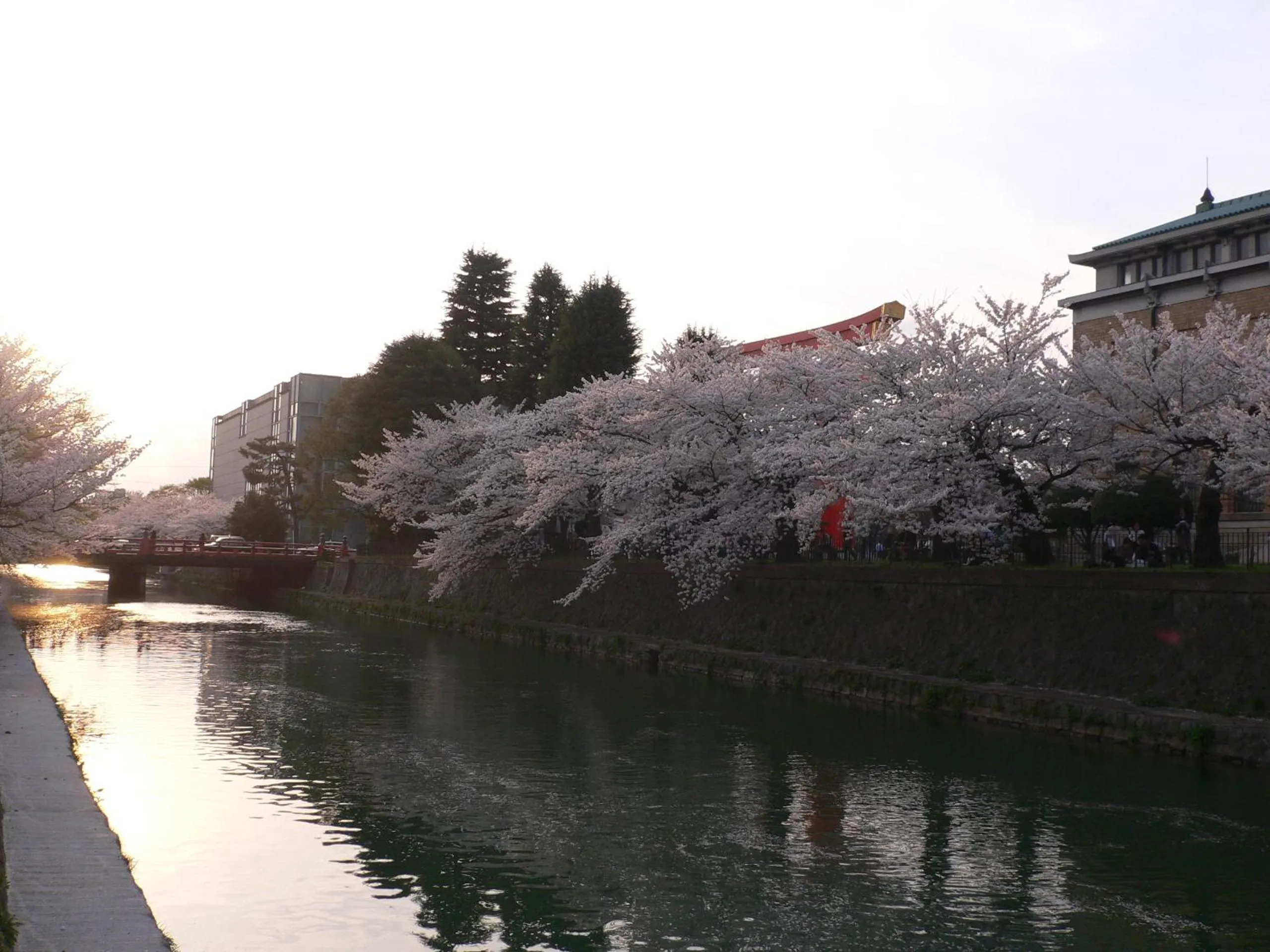 Area and facilities in Kyoto Travellers Inn