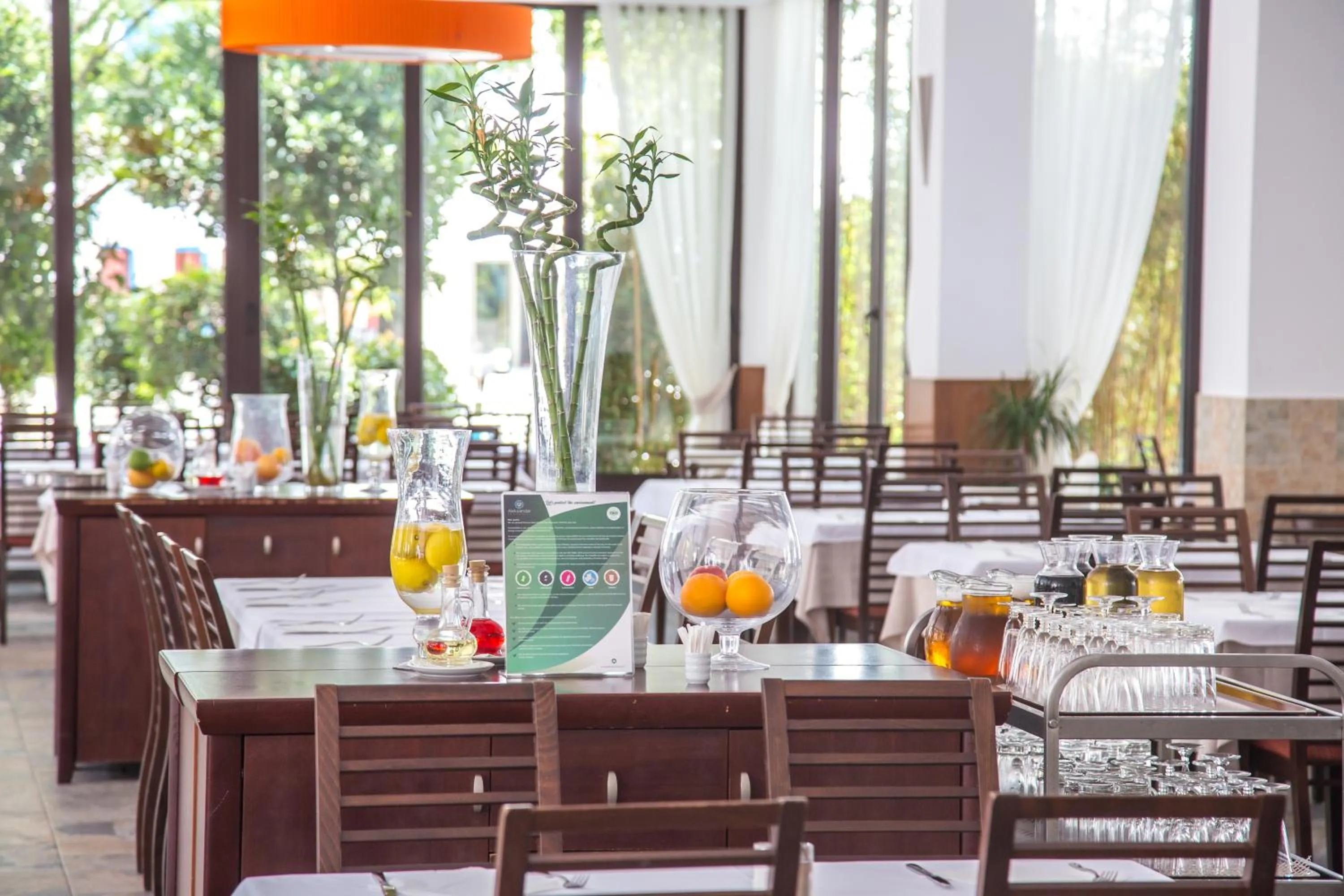 Restaurant/places to eat in Hotel Aleksandar