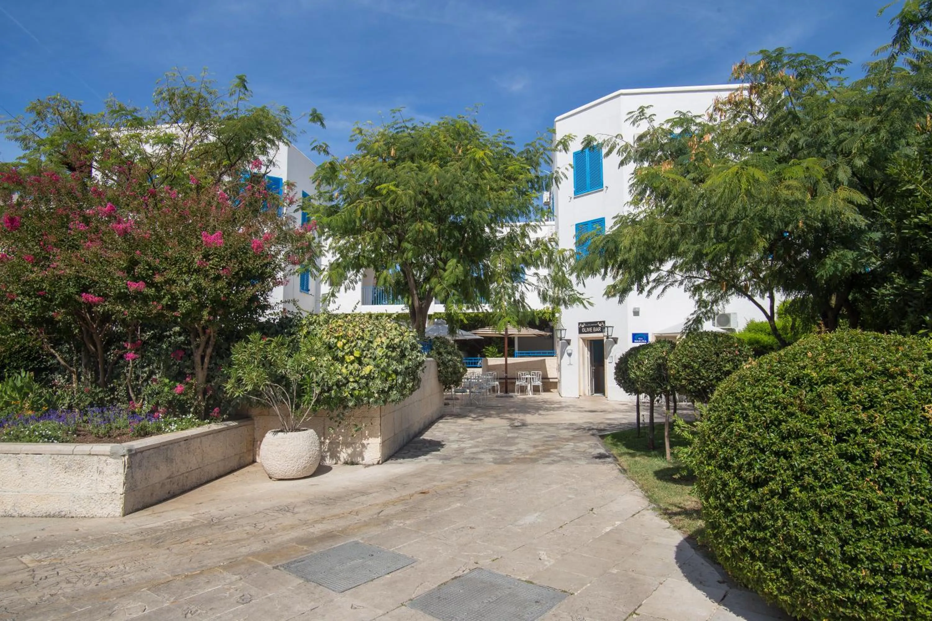 Day in Hotel Aleksandar