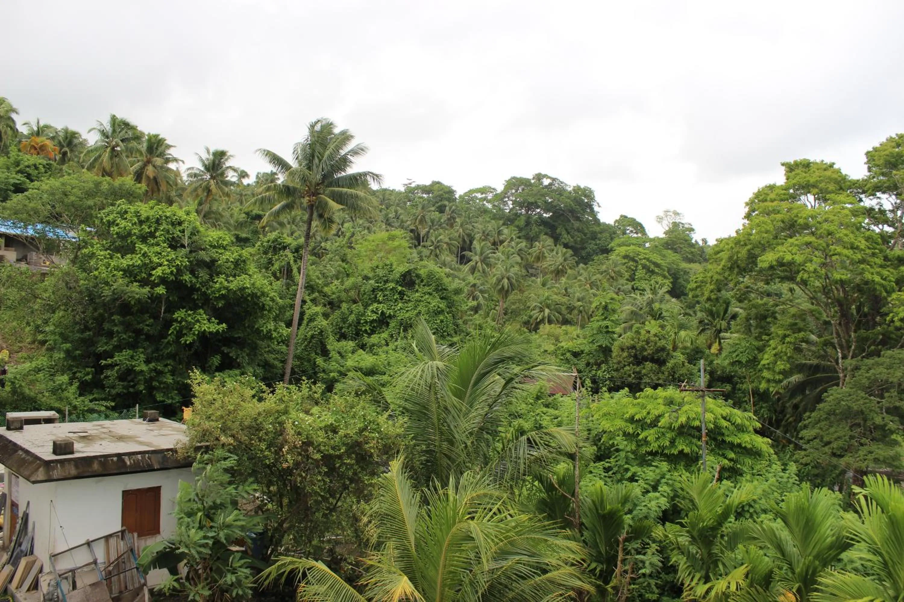 View (from property/room) in The White Coral