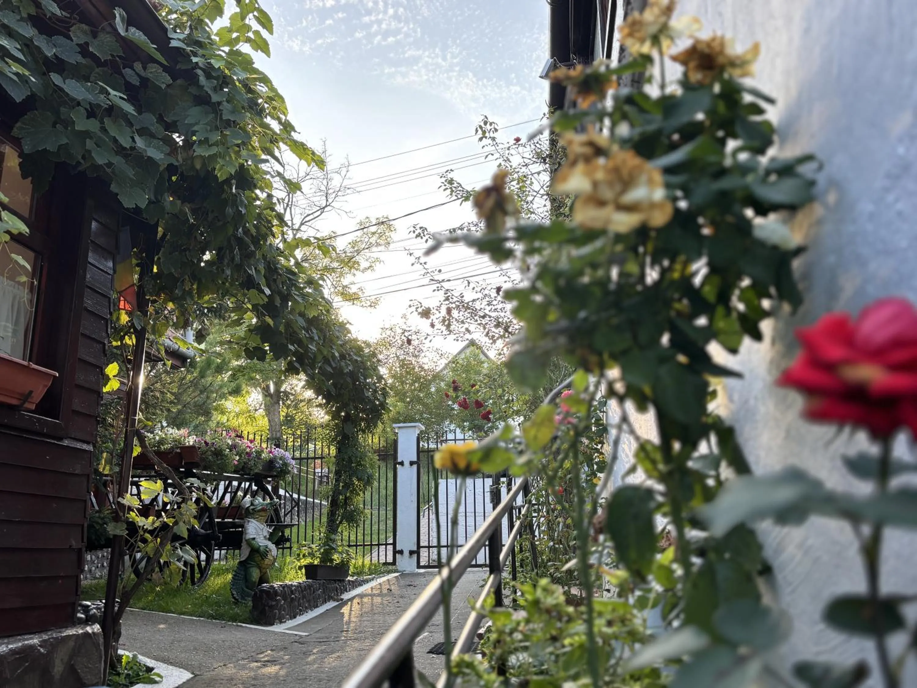 Property building in Casa Bazna