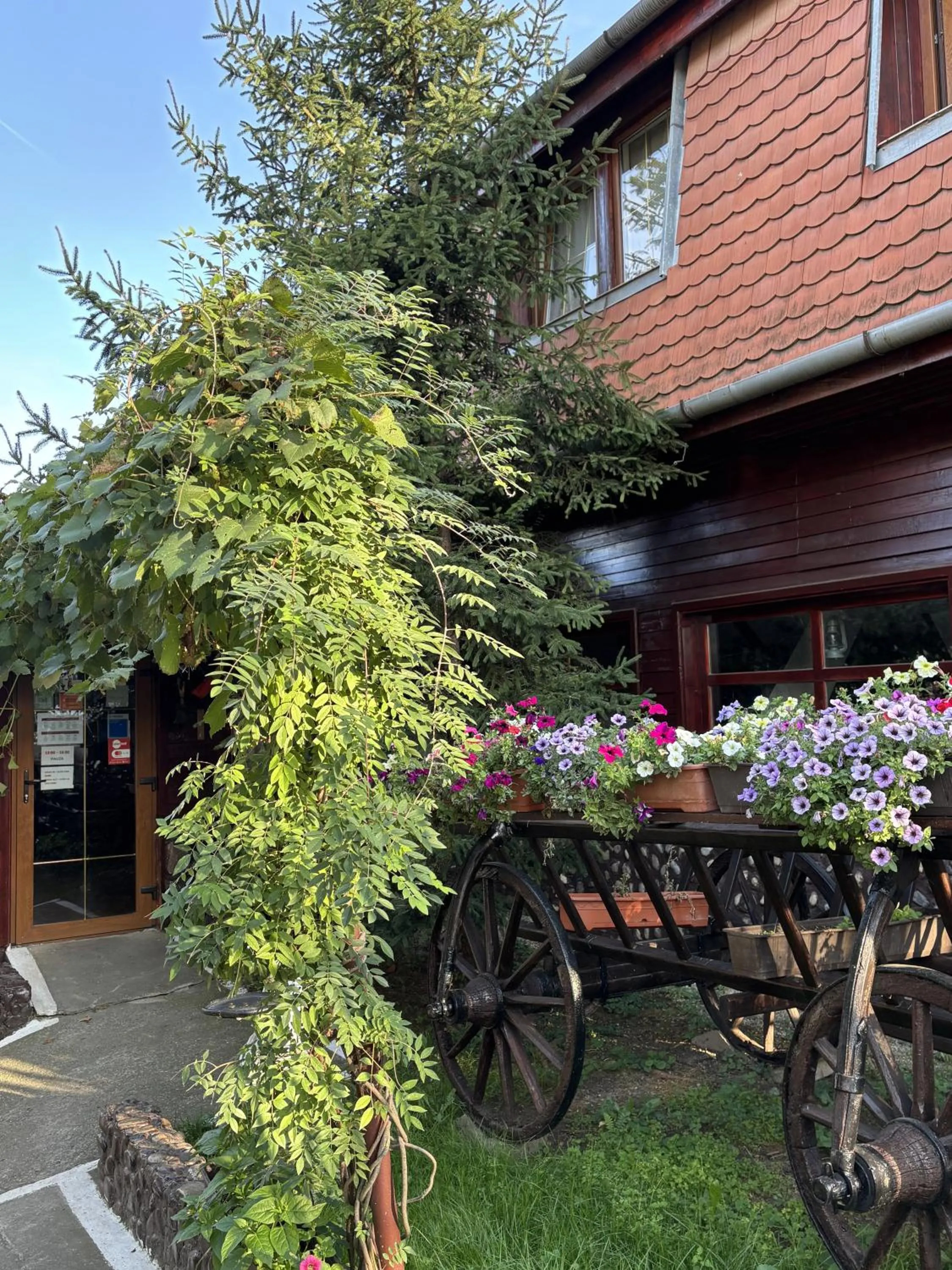 Property building in Casa Bazna