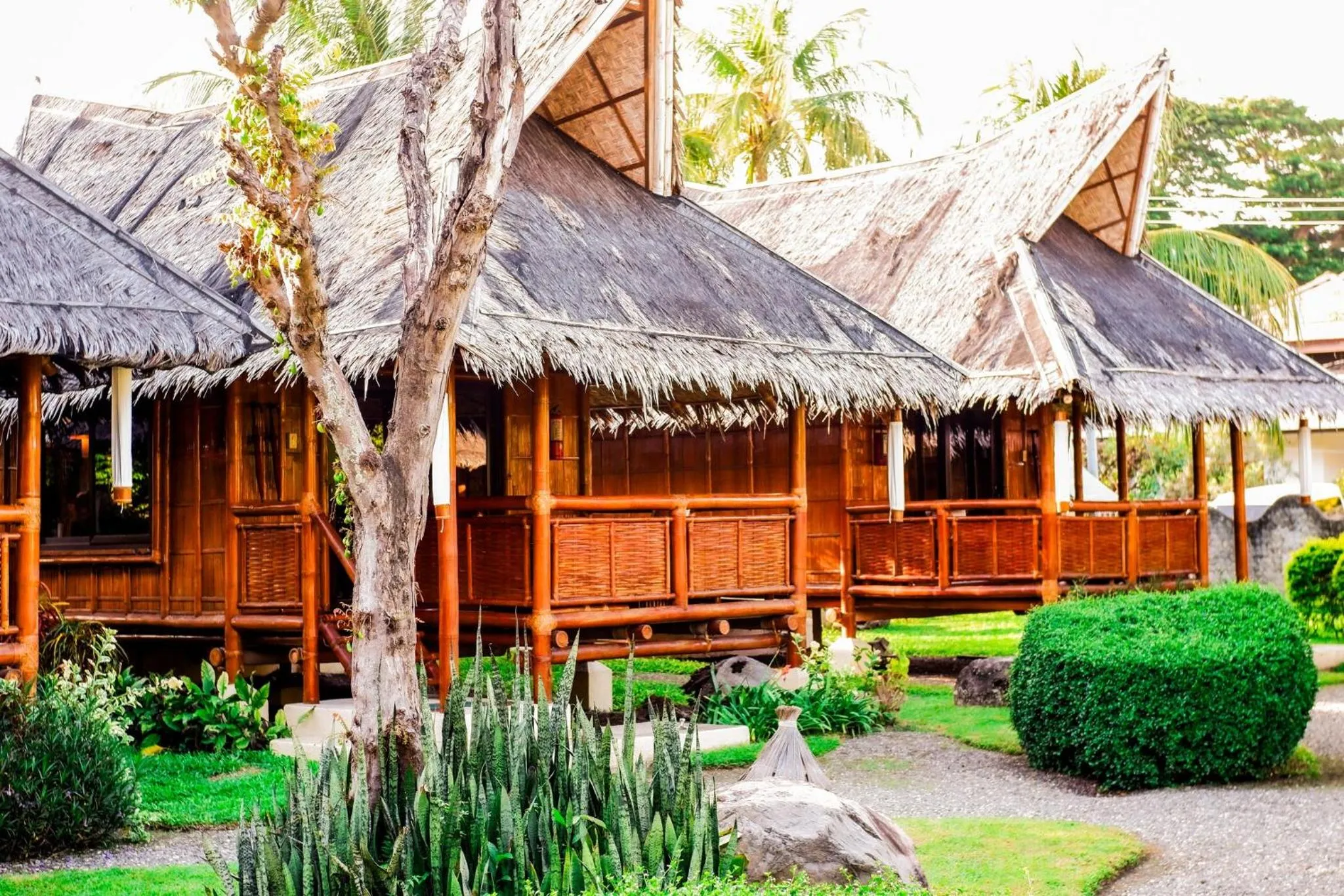 Property building in Pura Vida Beach & Dive Resort