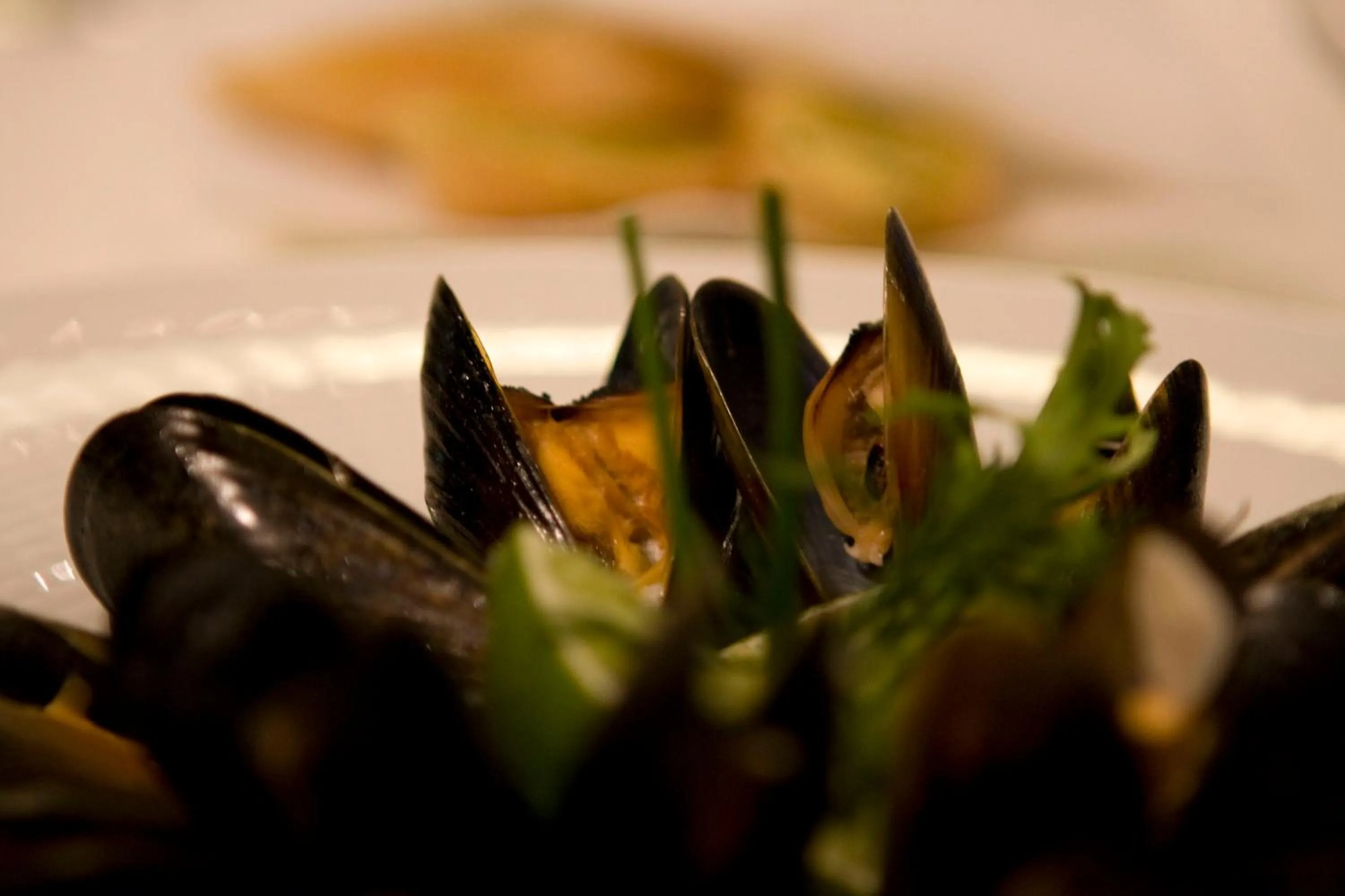 Food and drinks in Hotel Avance