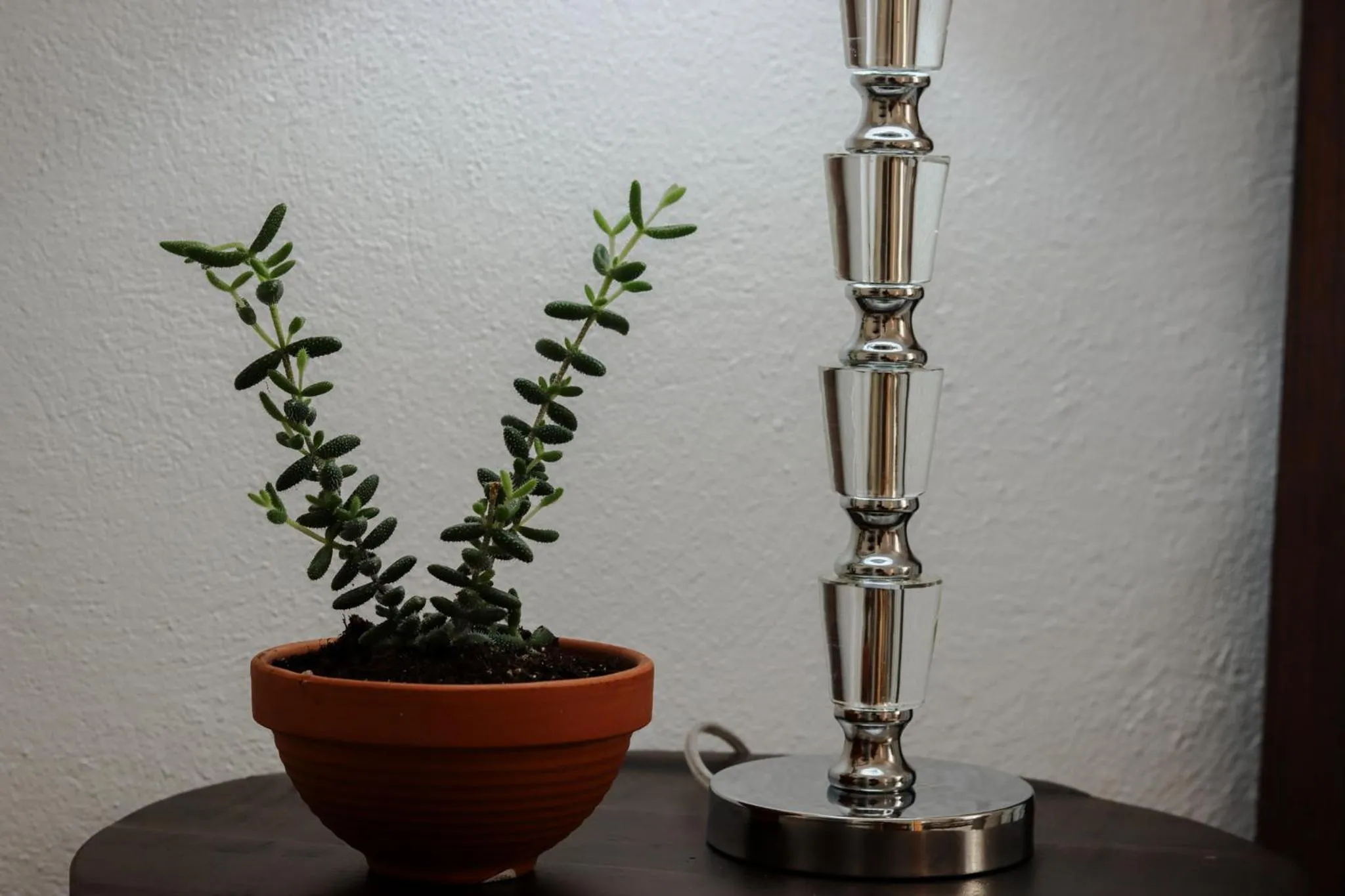 View (from property/room) in Hacienda Tres Casitas