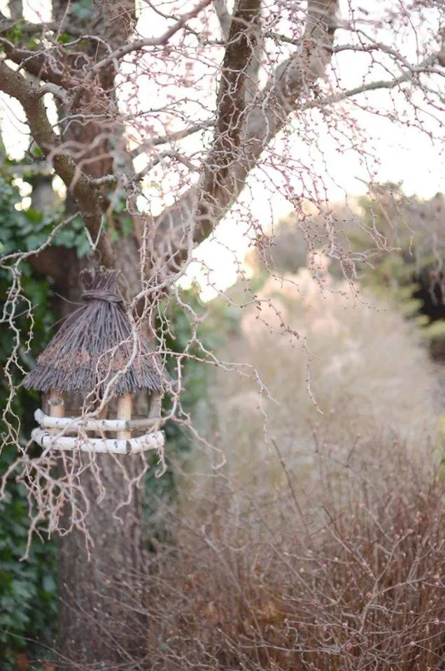 Garden view in Penzion Tematin