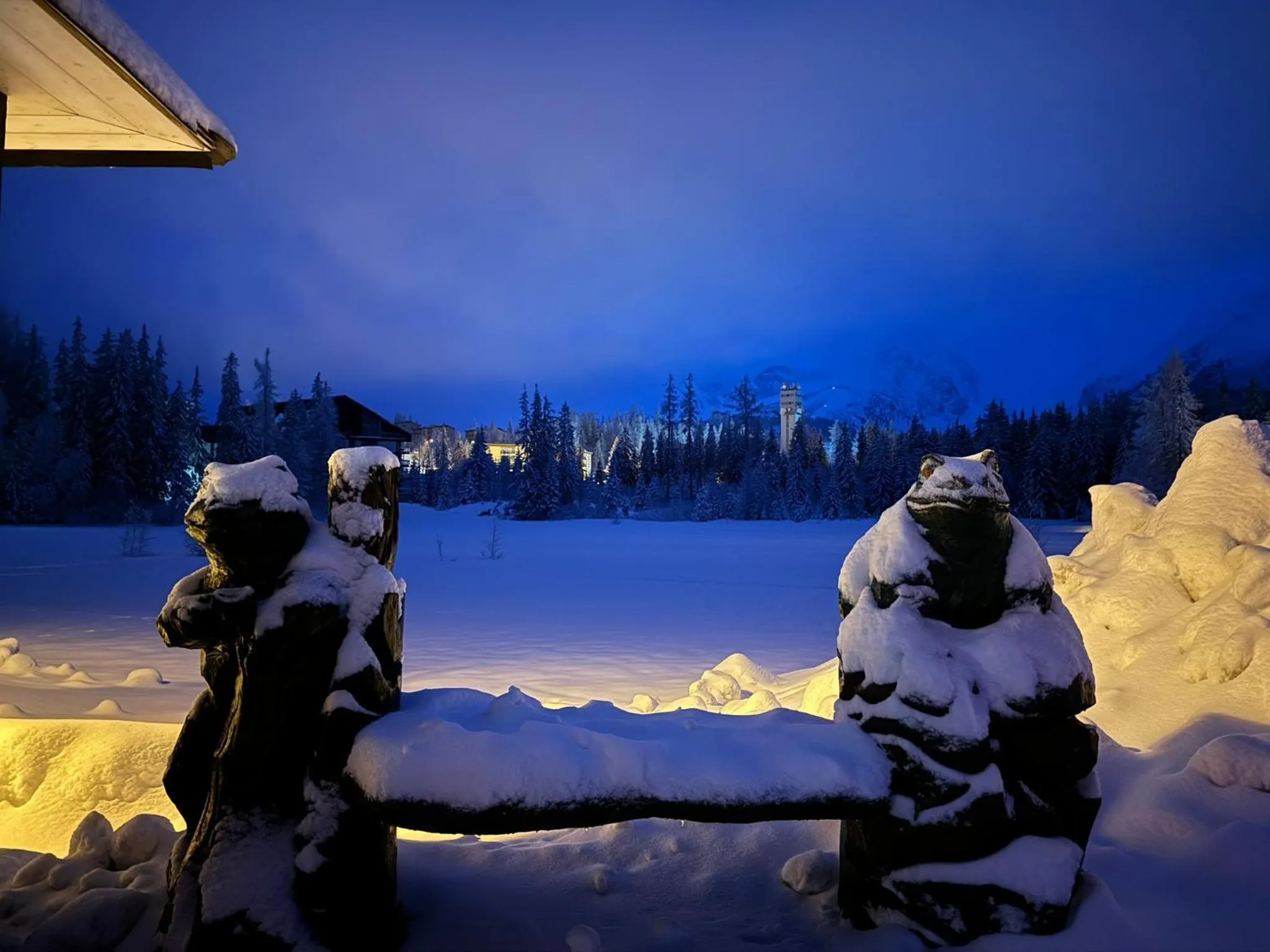 Neighbourhood in Hotel CROCUS