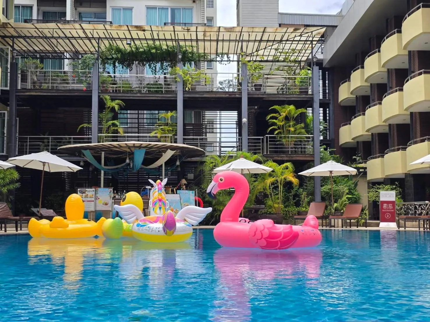 Swimming pool in Baron Beach Hotel