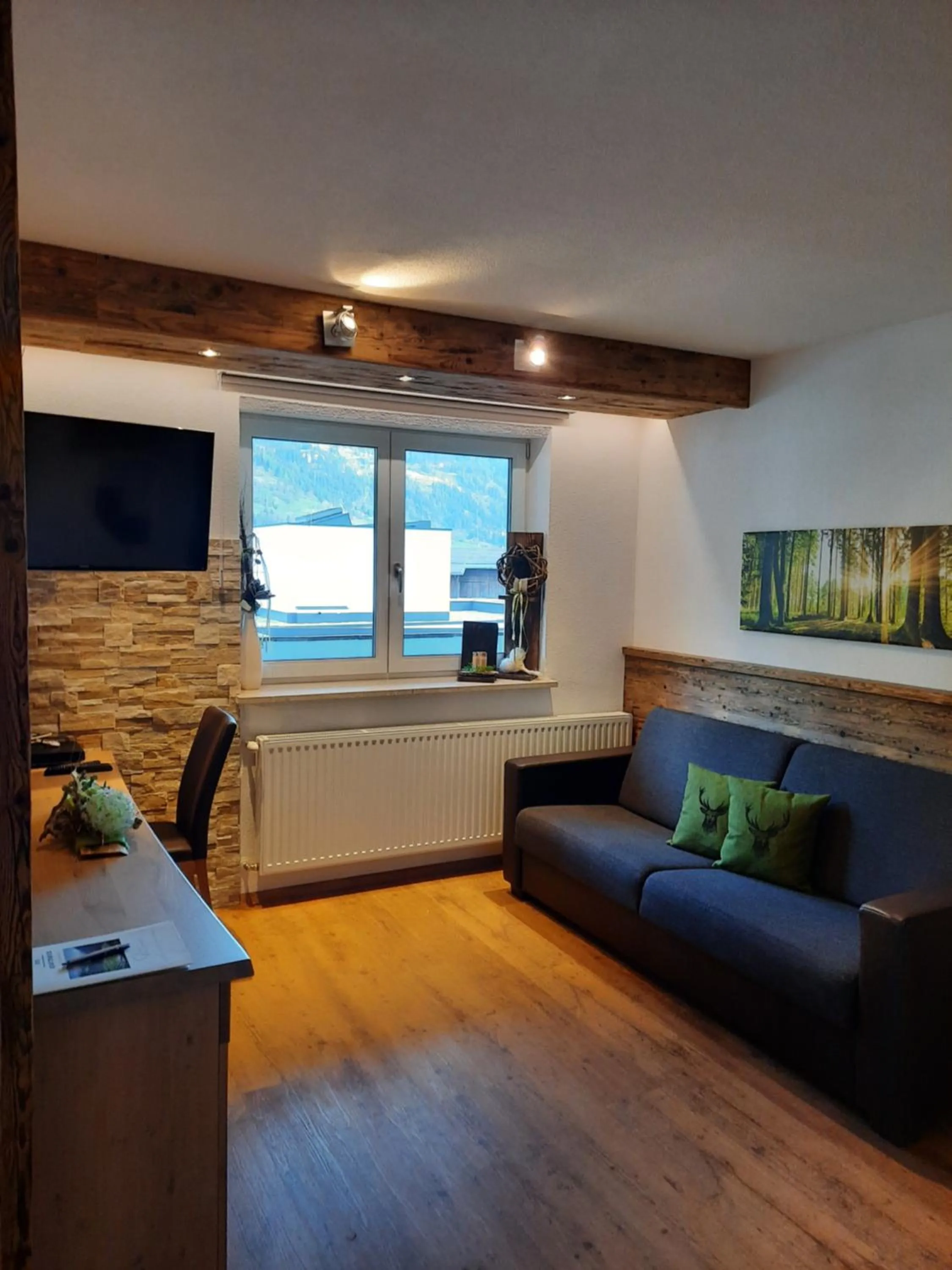 TV and multimedia in Inn-Apartments