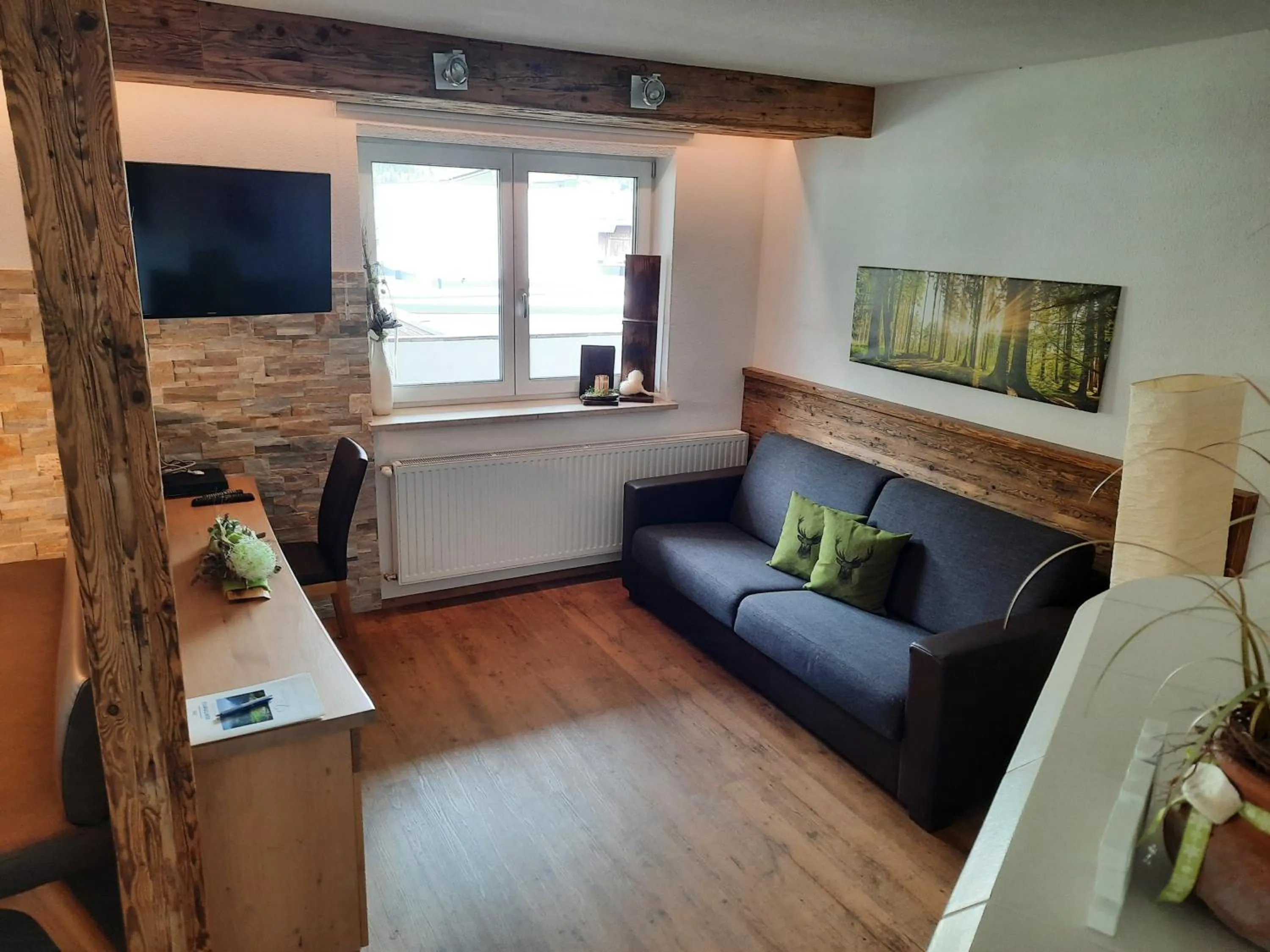 TV and multimedia in Inn-Apartments