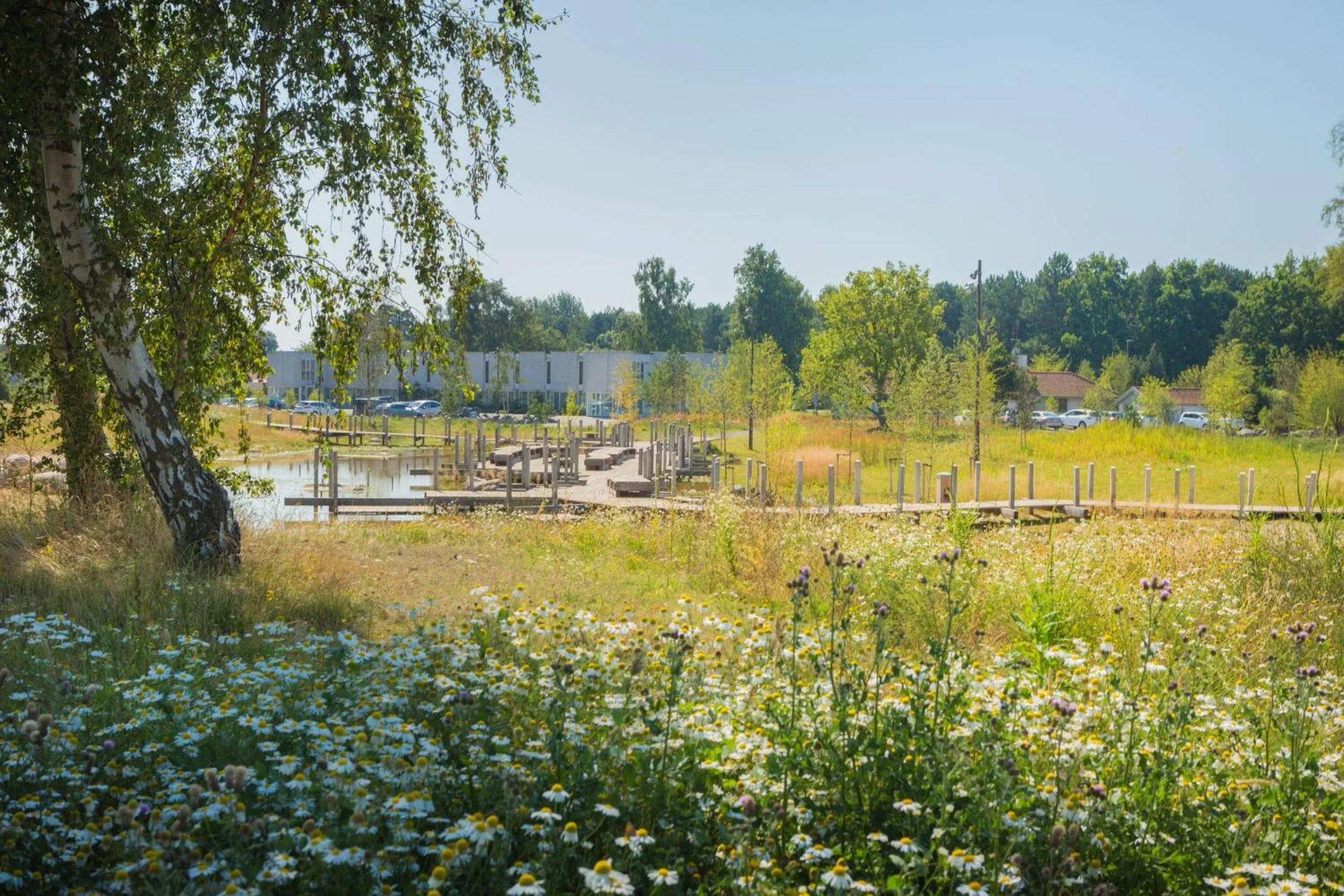 Natural landscape in Hotel GSH