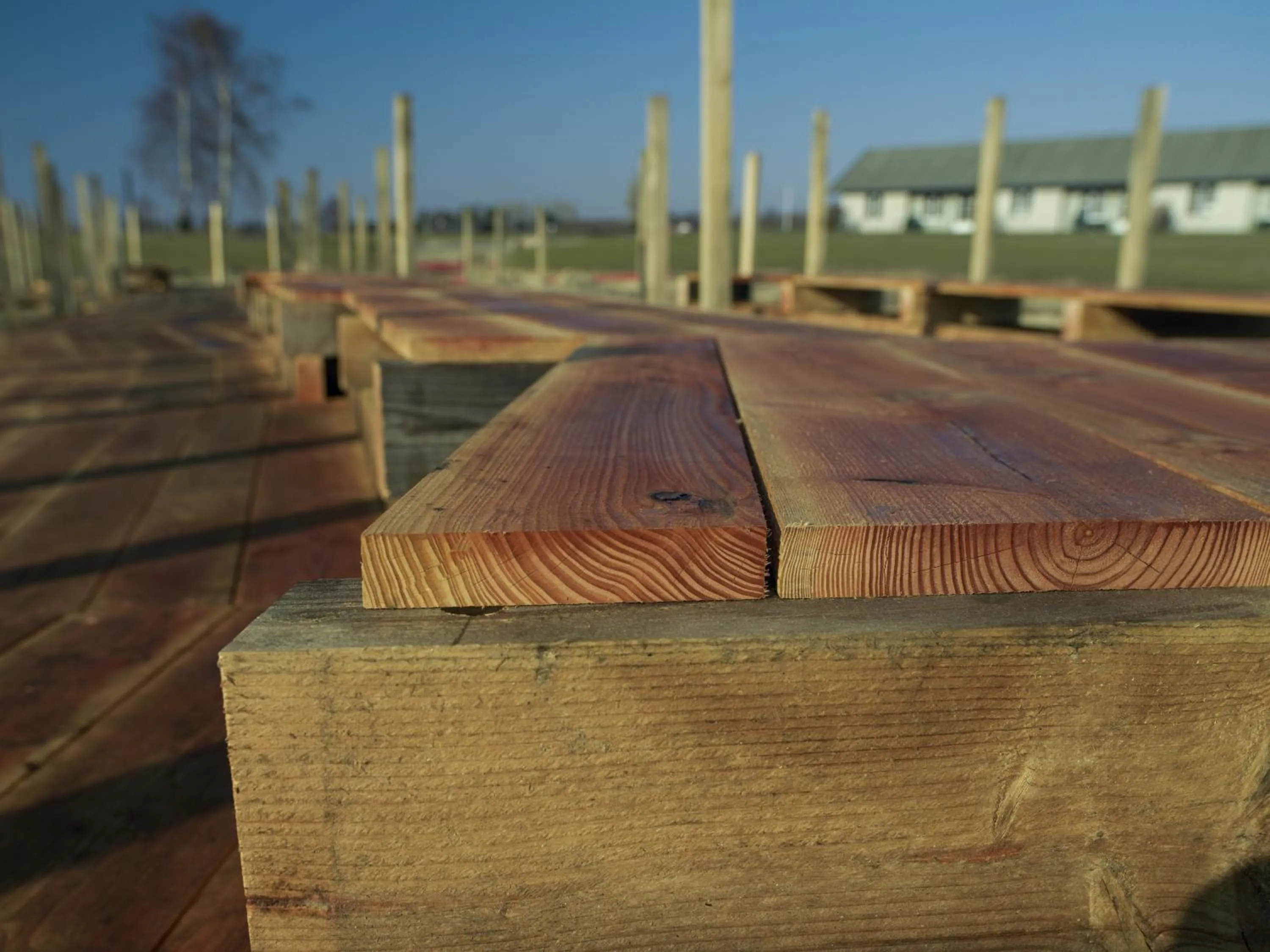 Area and facilities in Hotel GSH