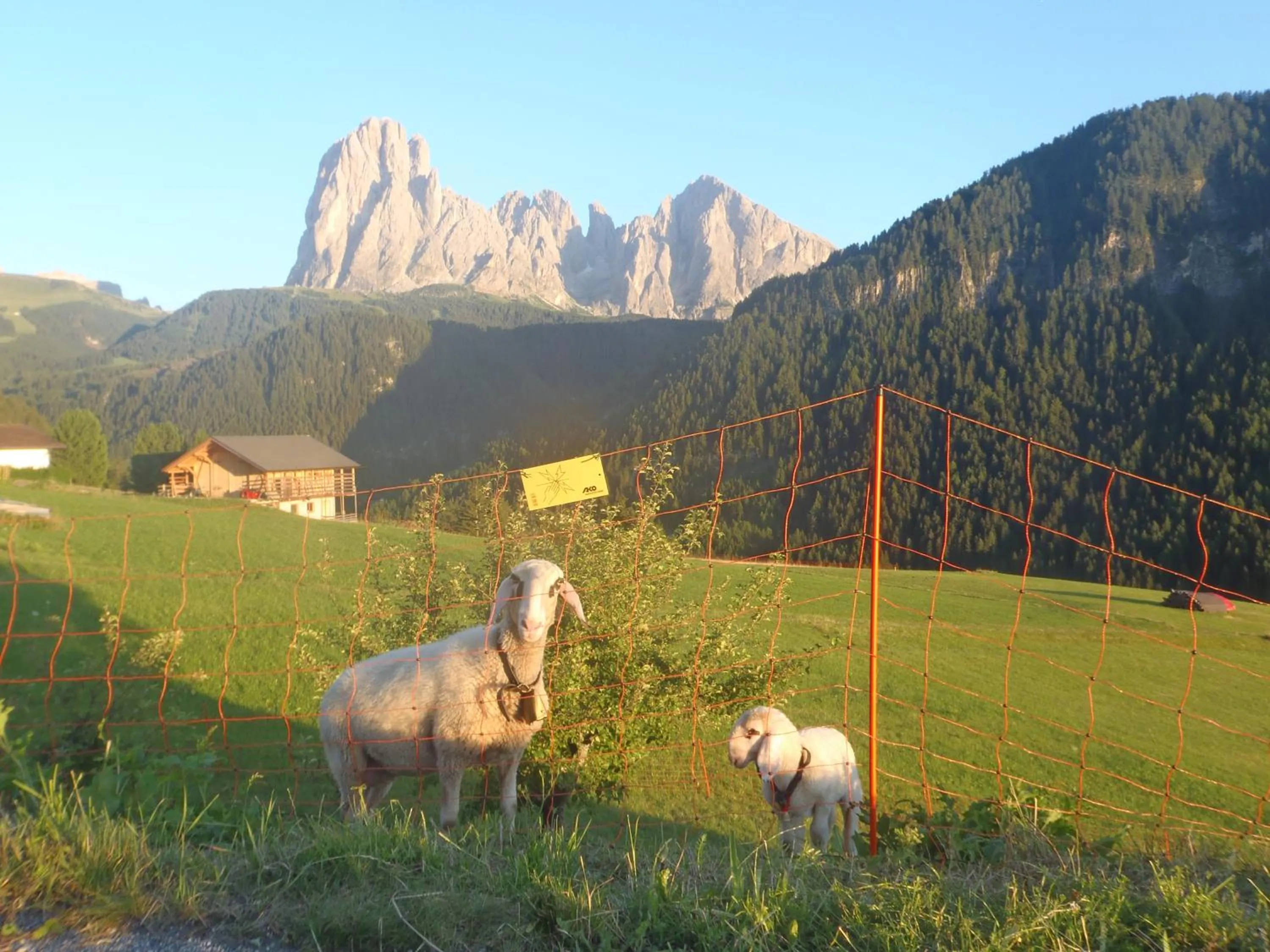 Albergo Somont