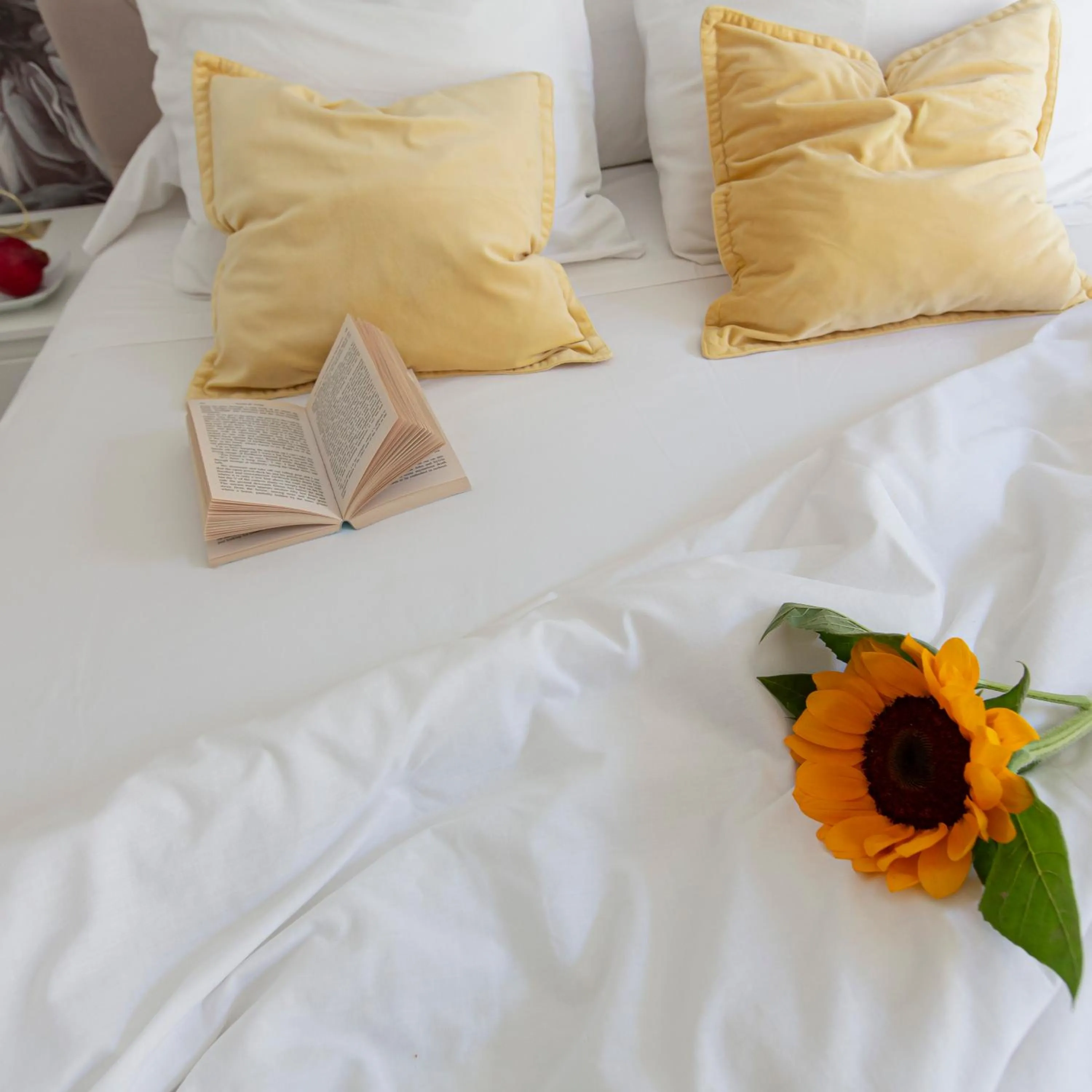 Bed in Veracruz Puerta del Sol