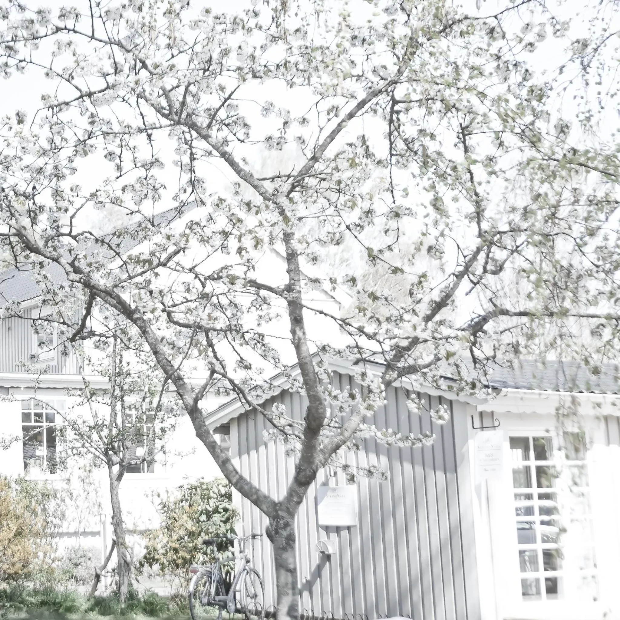 Property building in Eco by StrandNära