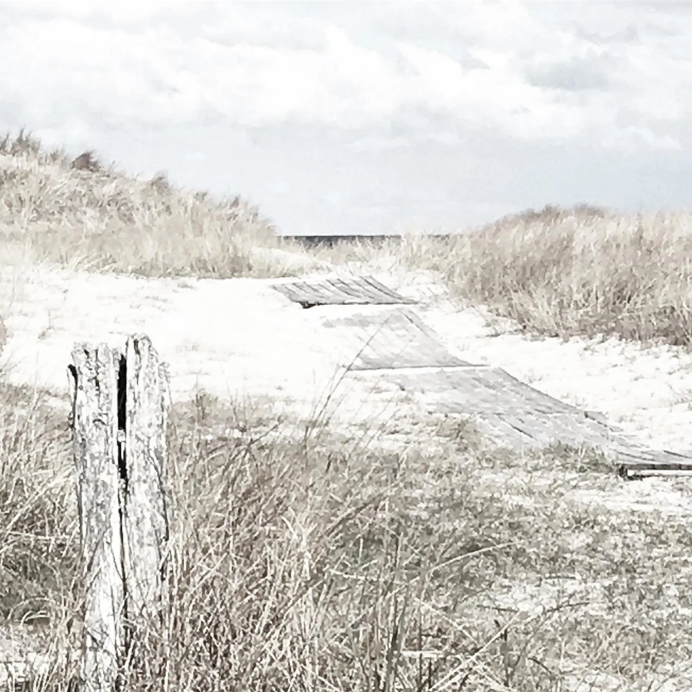 Natural landscape in Eco by StrandNära