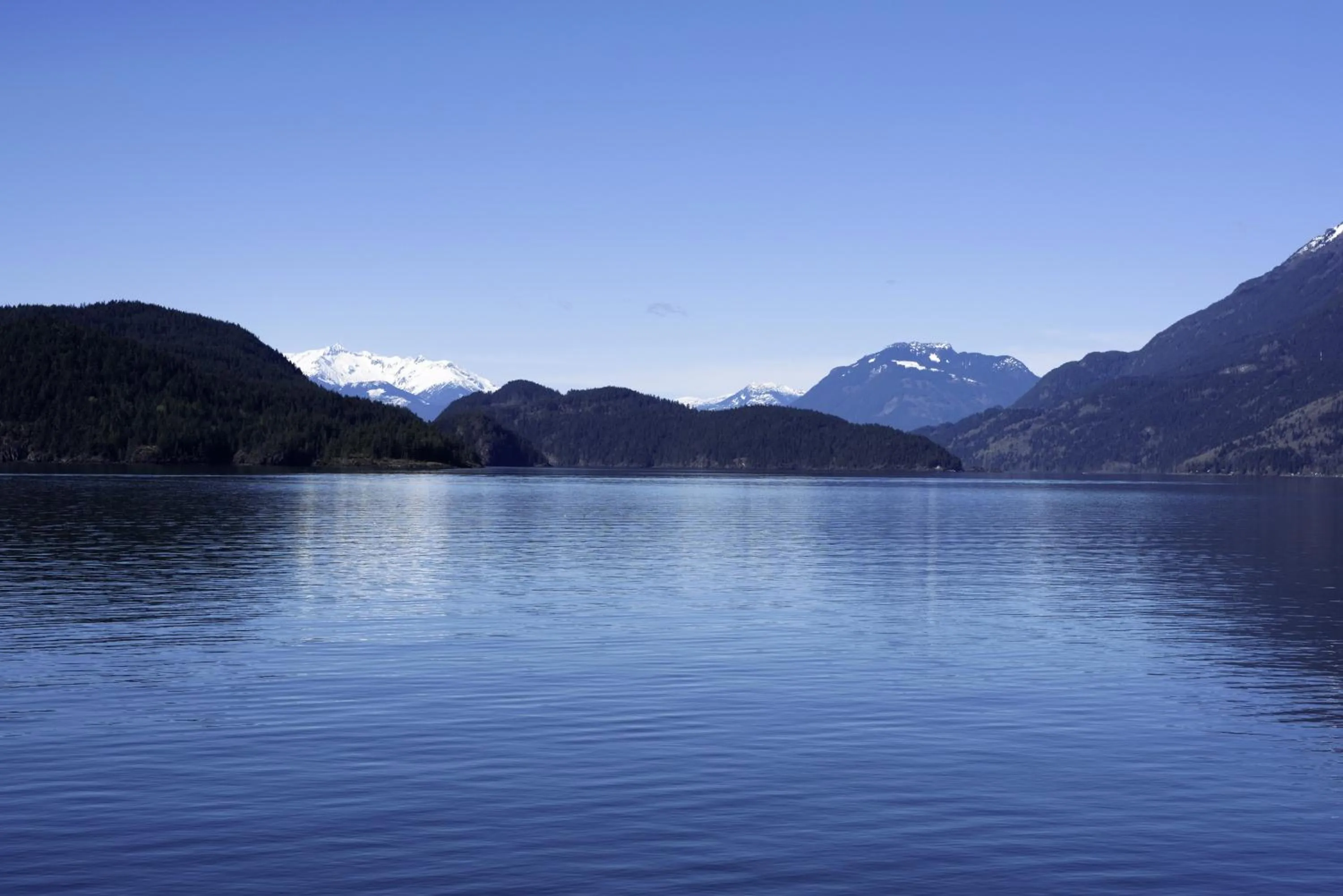 Neighbourhood in The Rockwell-Harrison Guest Lodge