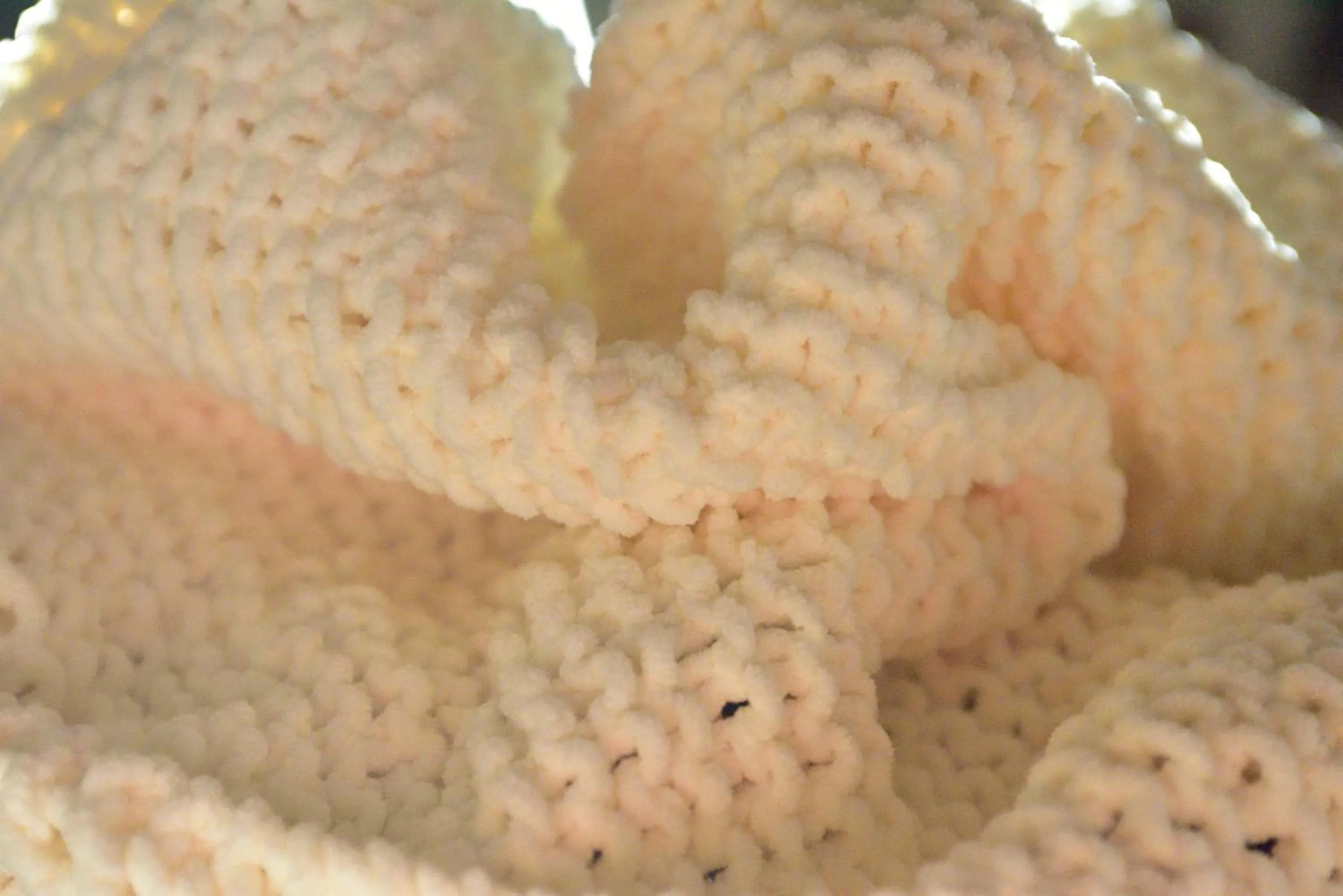 Winter in The Rockwell-Harrison Guest Lodge