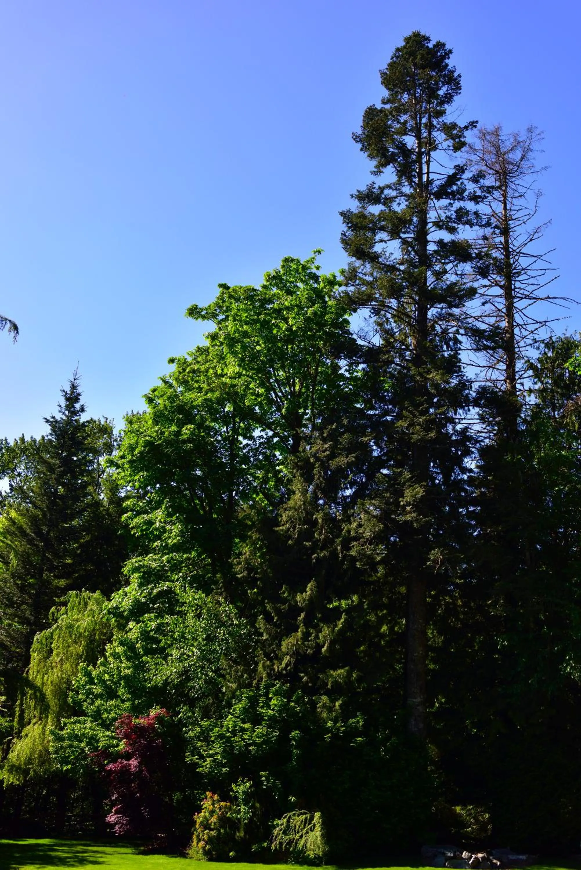 Garden in The Rockwell-Harrison Guest Lodge