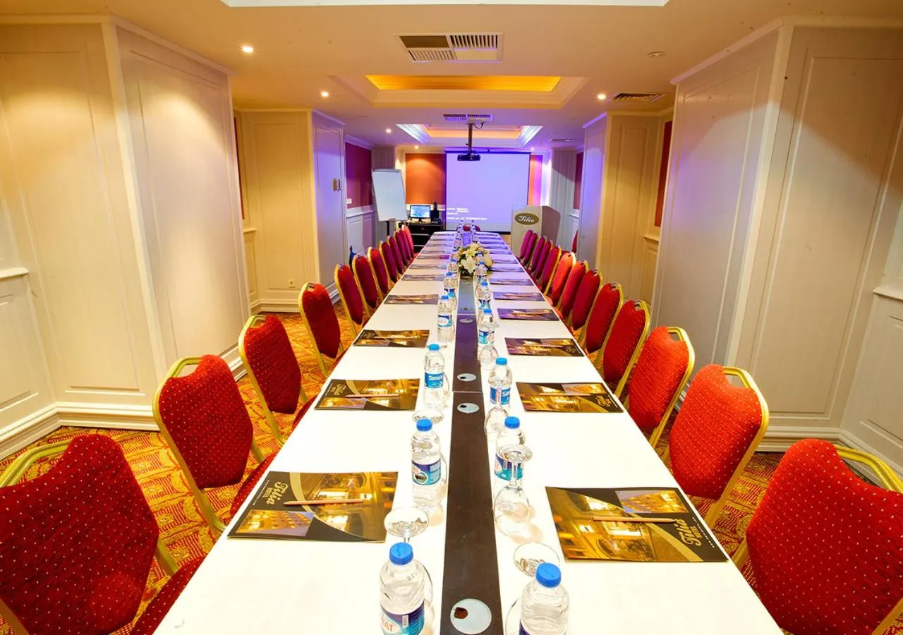 Meeting/conference room in Tilia Hotel
