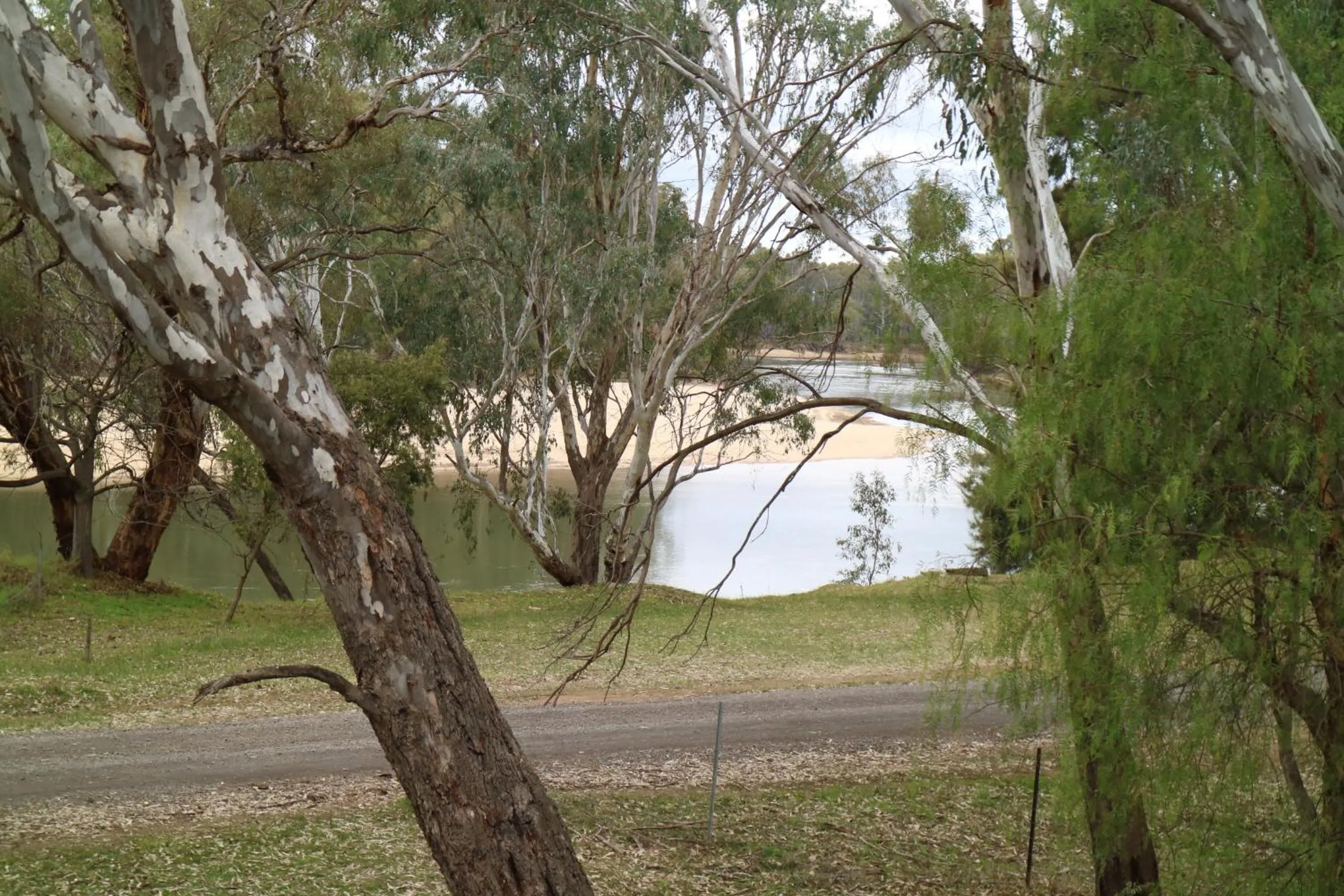 View (from property/room) in Corowa Golf Club Motel