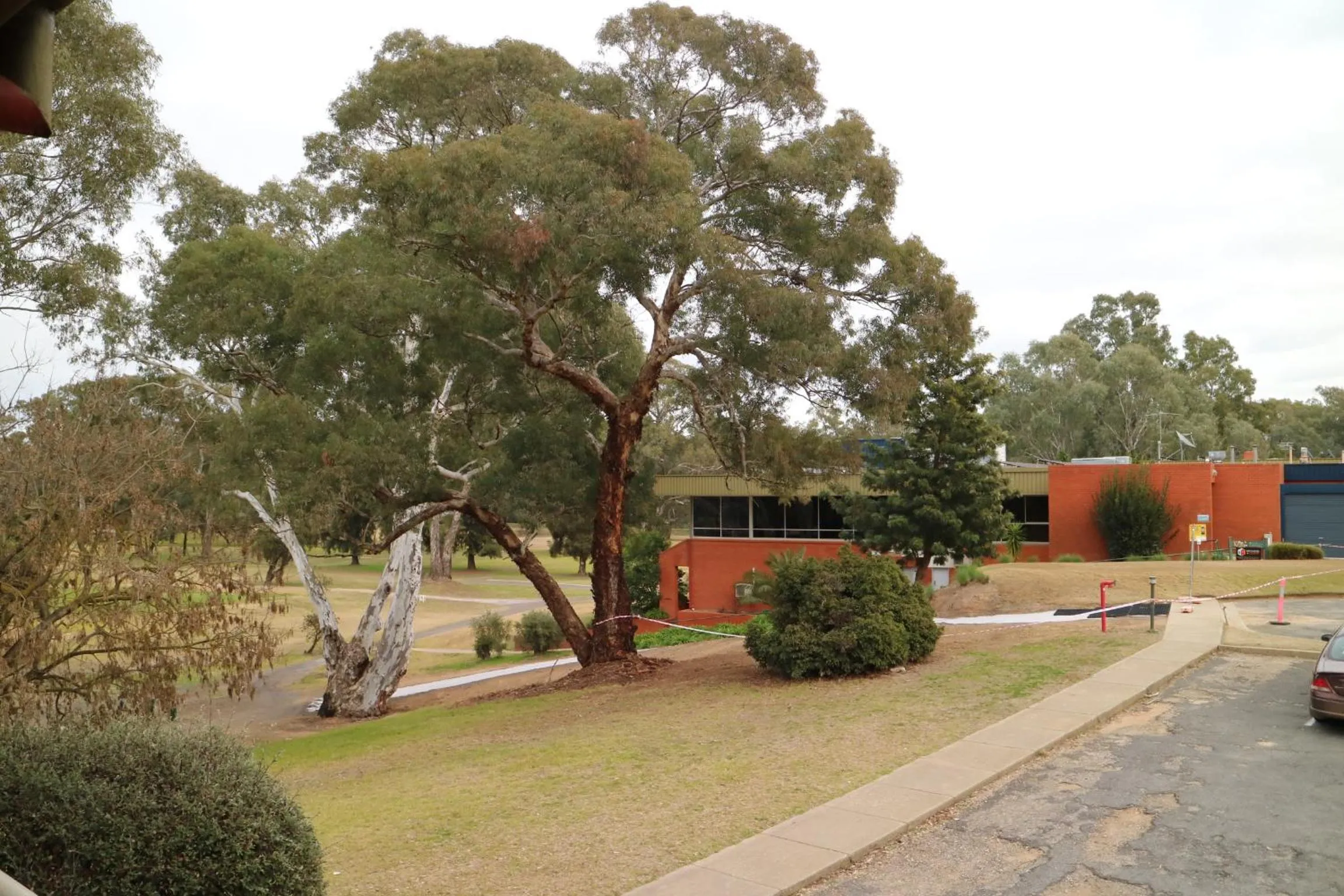 View (from property/room) in Corowa Golf Club Motel